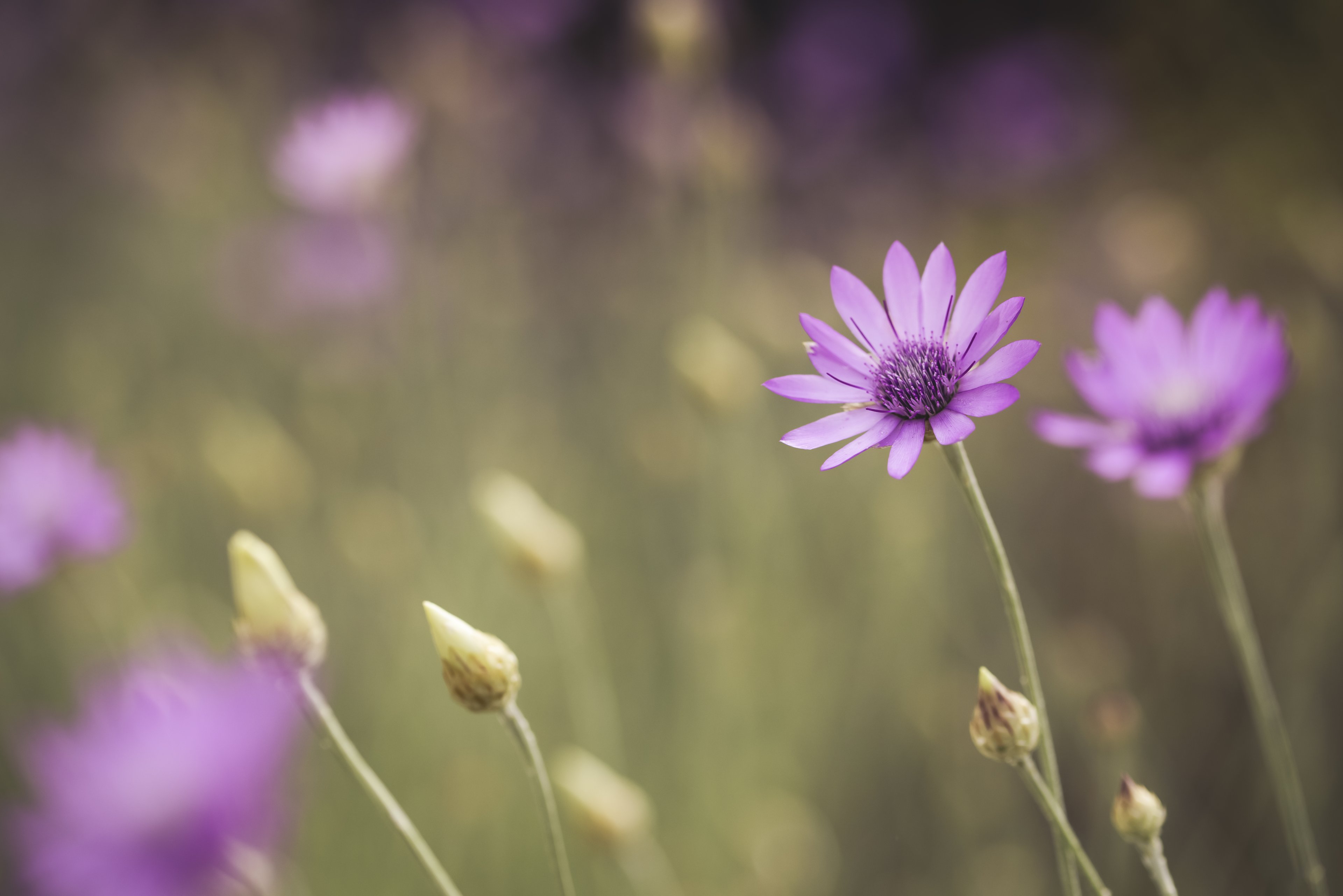 01.07 (38) Kopie.jpg