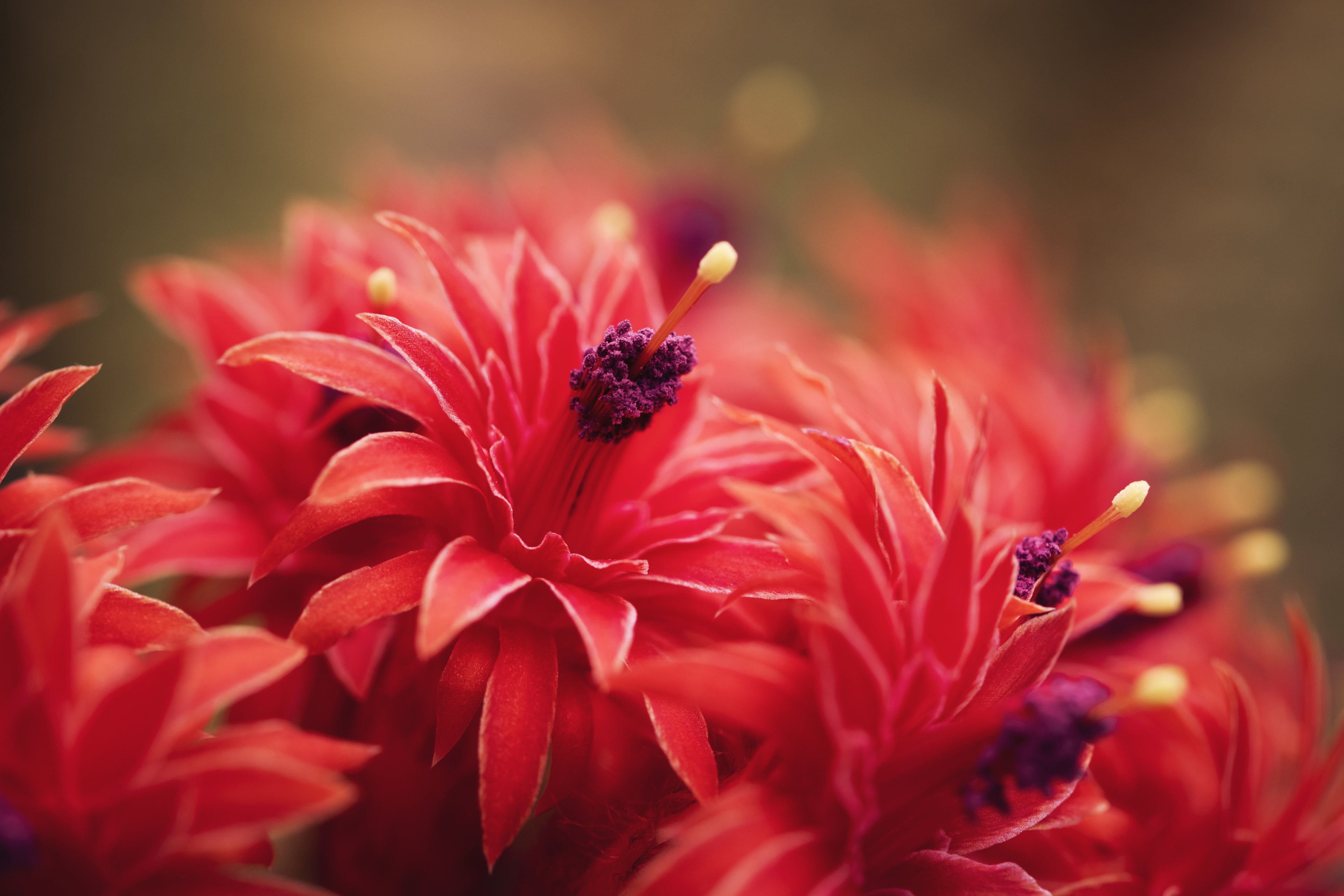 01.07 (90) Kopie.jpg