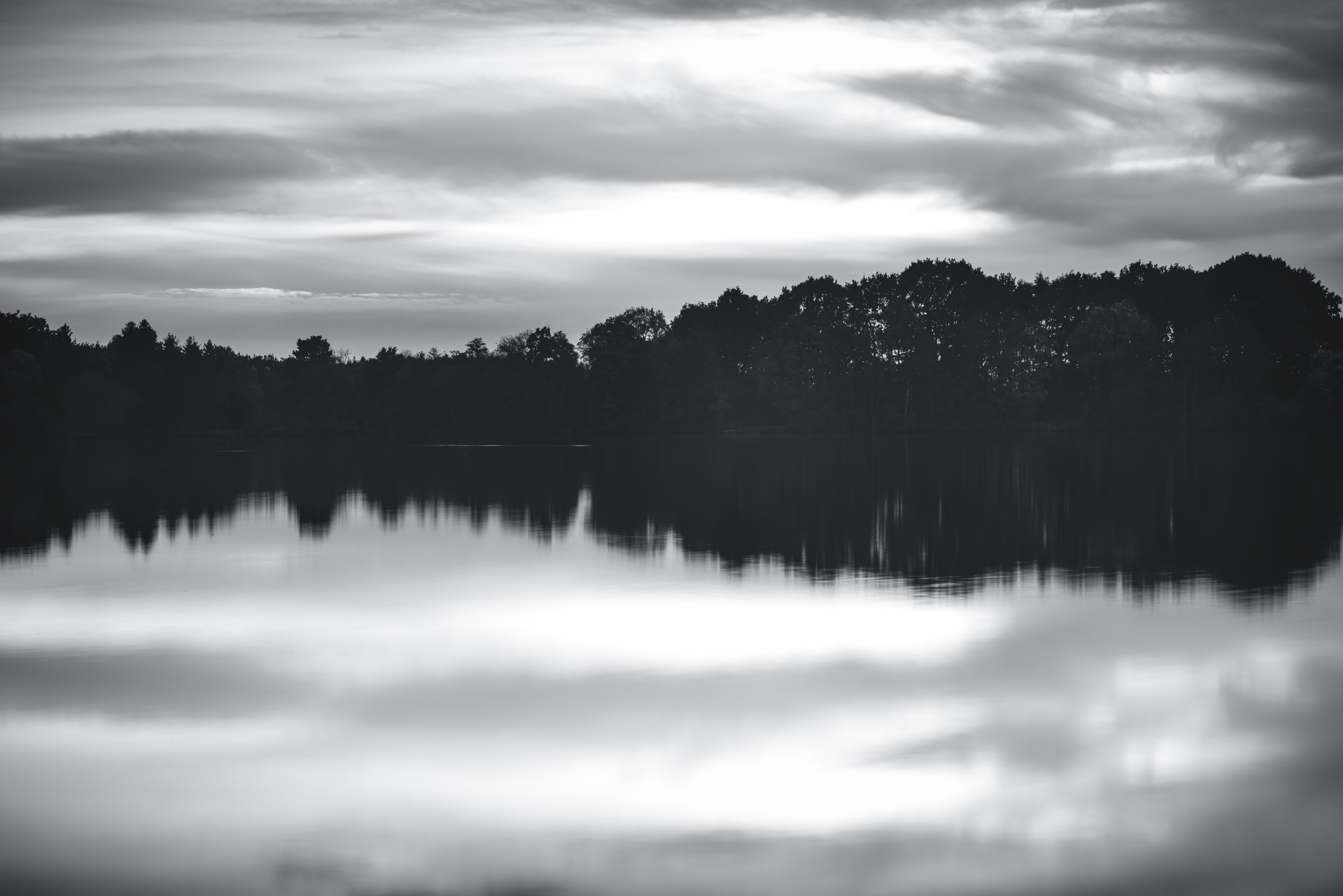 03112023 (10) Kopie.jpg