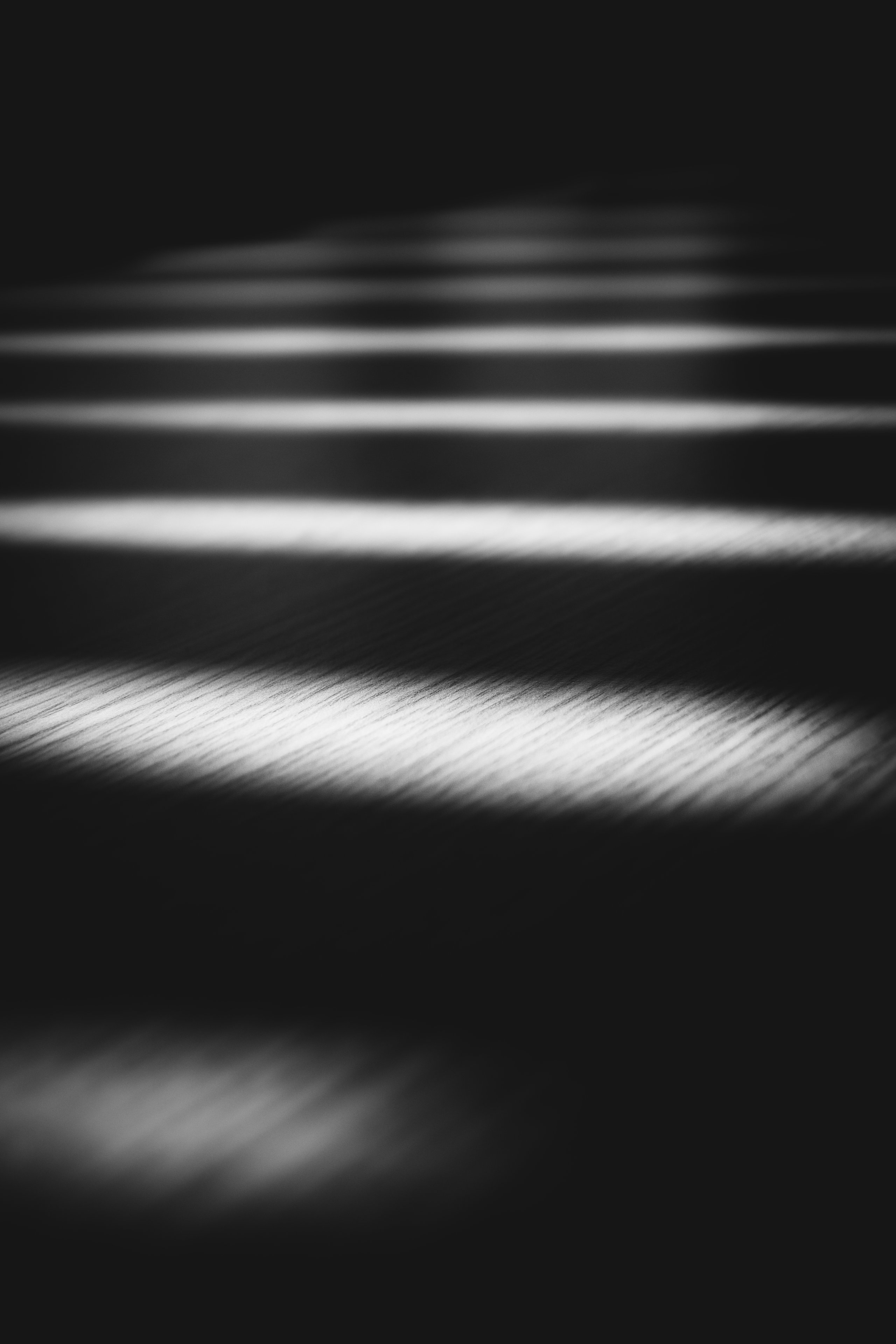 04.03 (147) Kopie.jpg