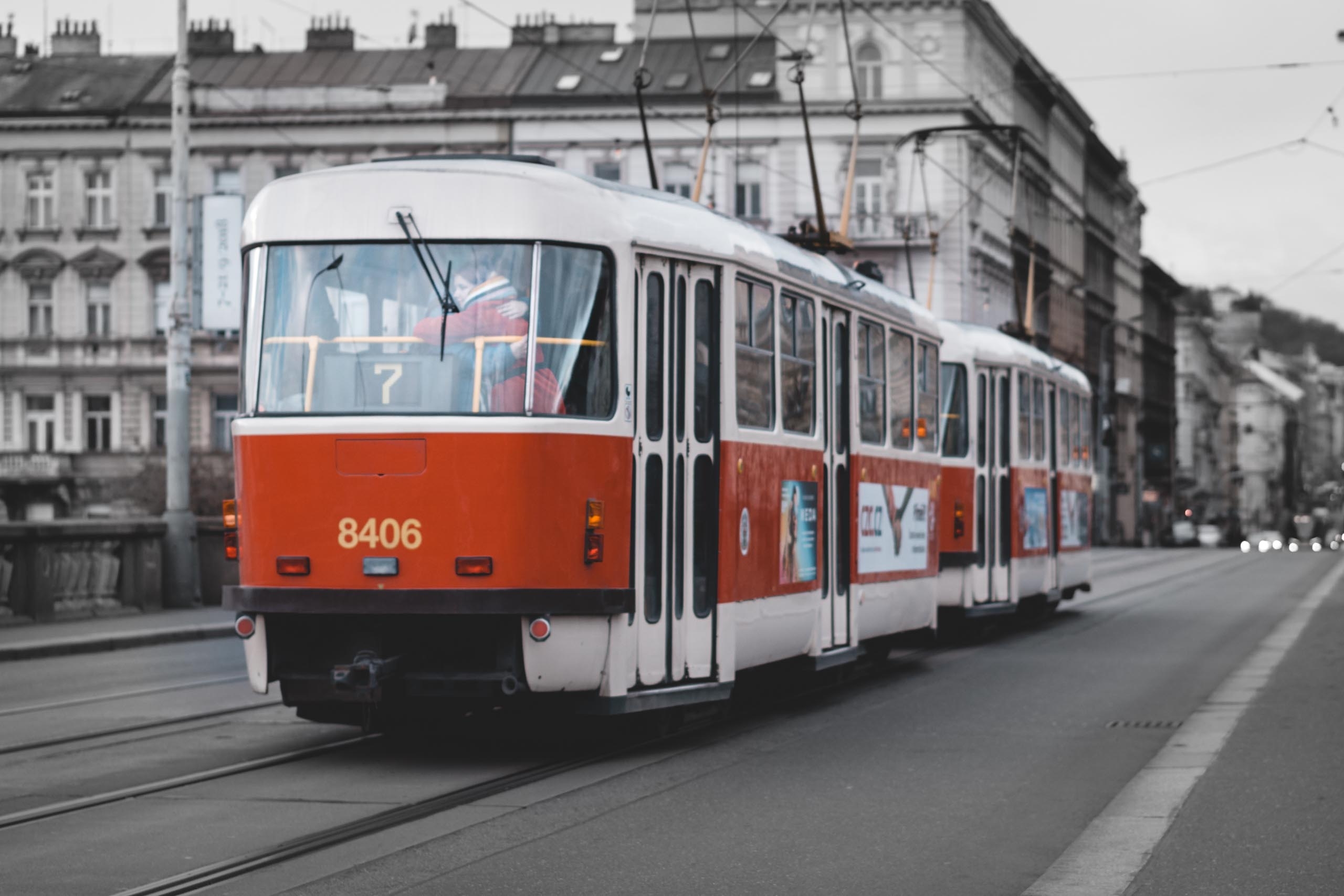 05.jpg