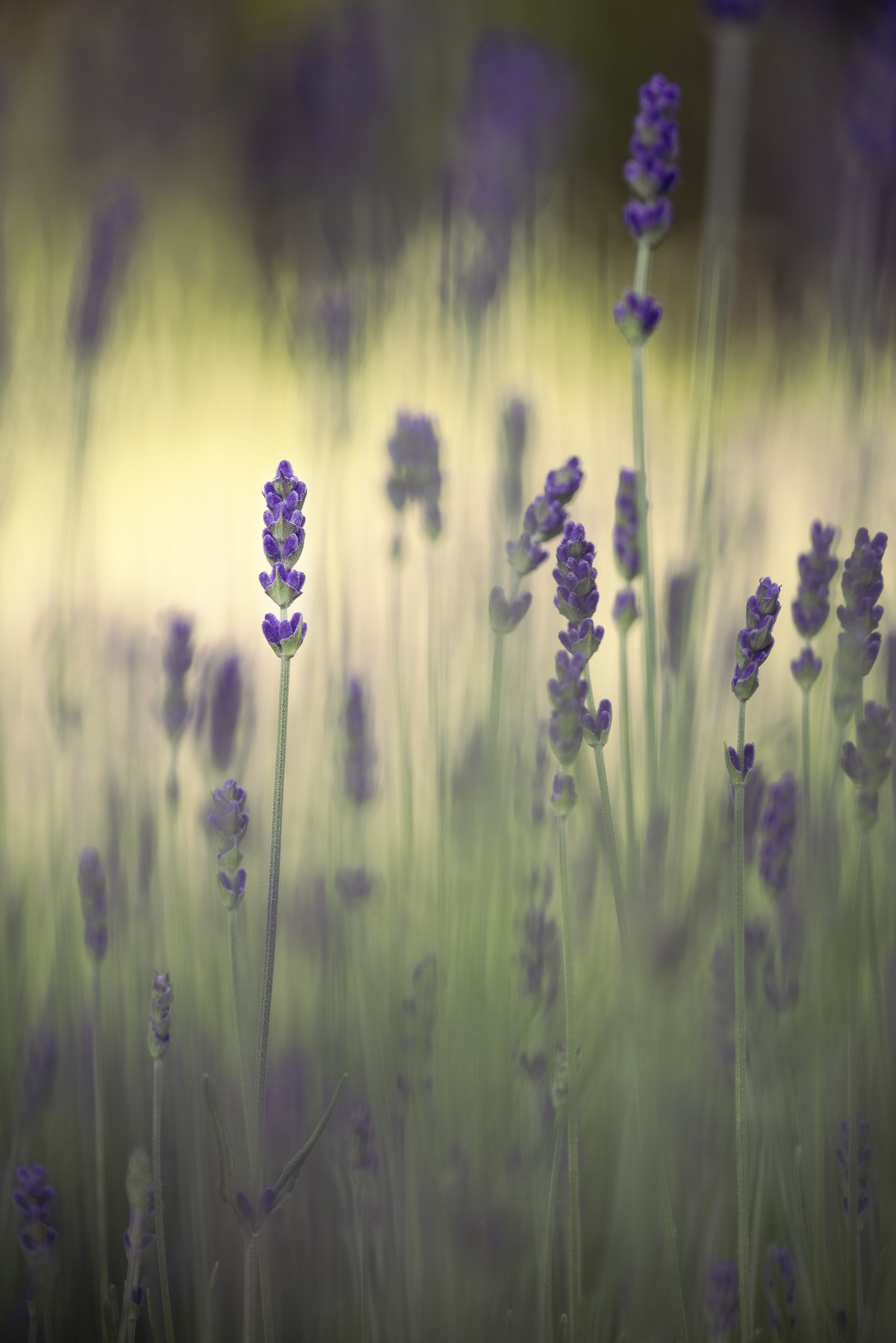 10.06 (44) Kopie.jpg