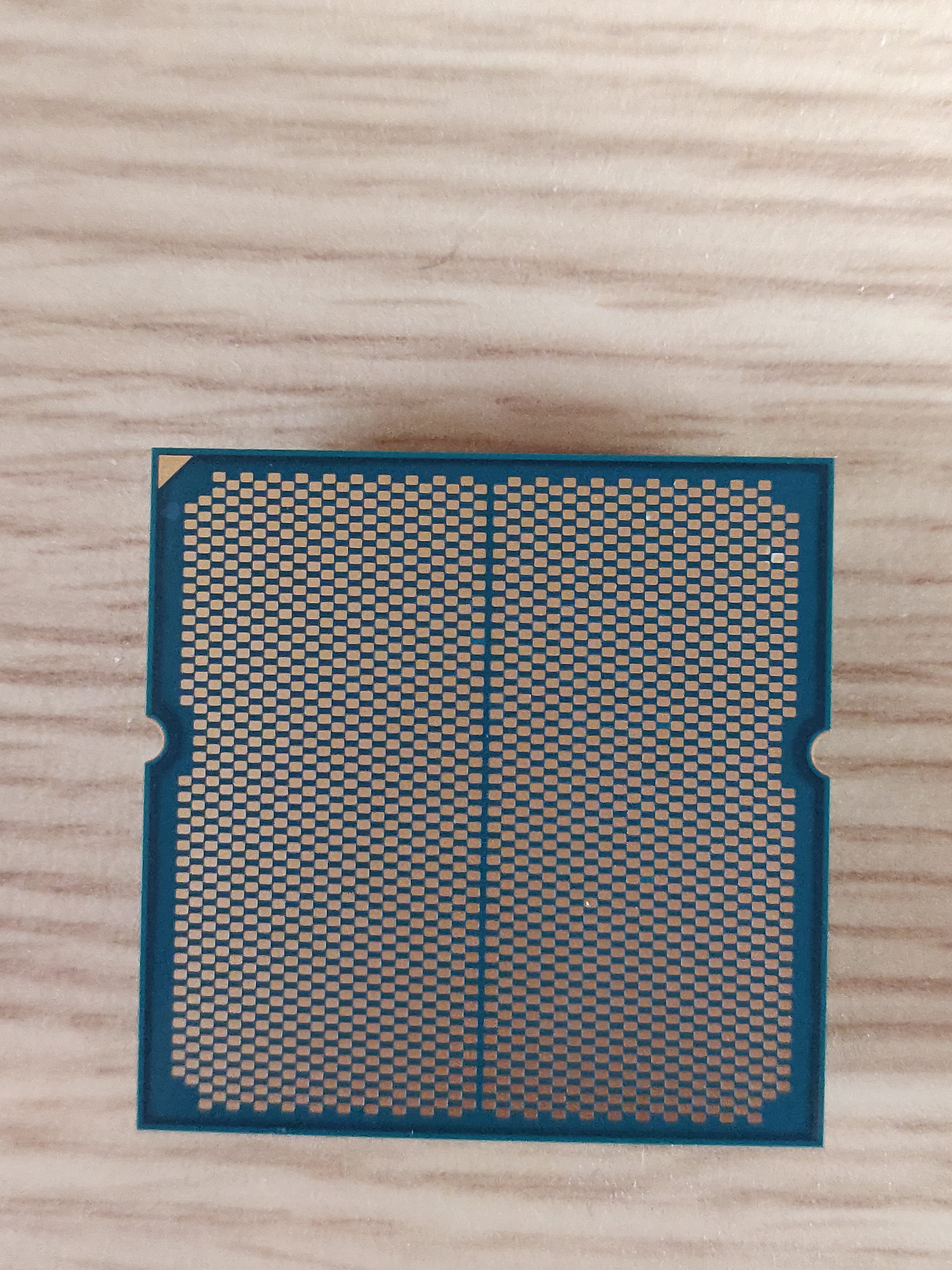 1000031956.jpg