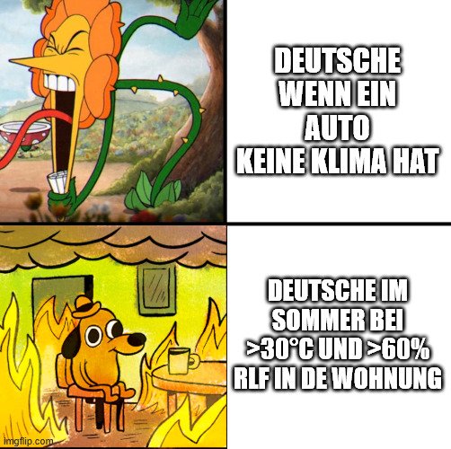 1000036443.jpg