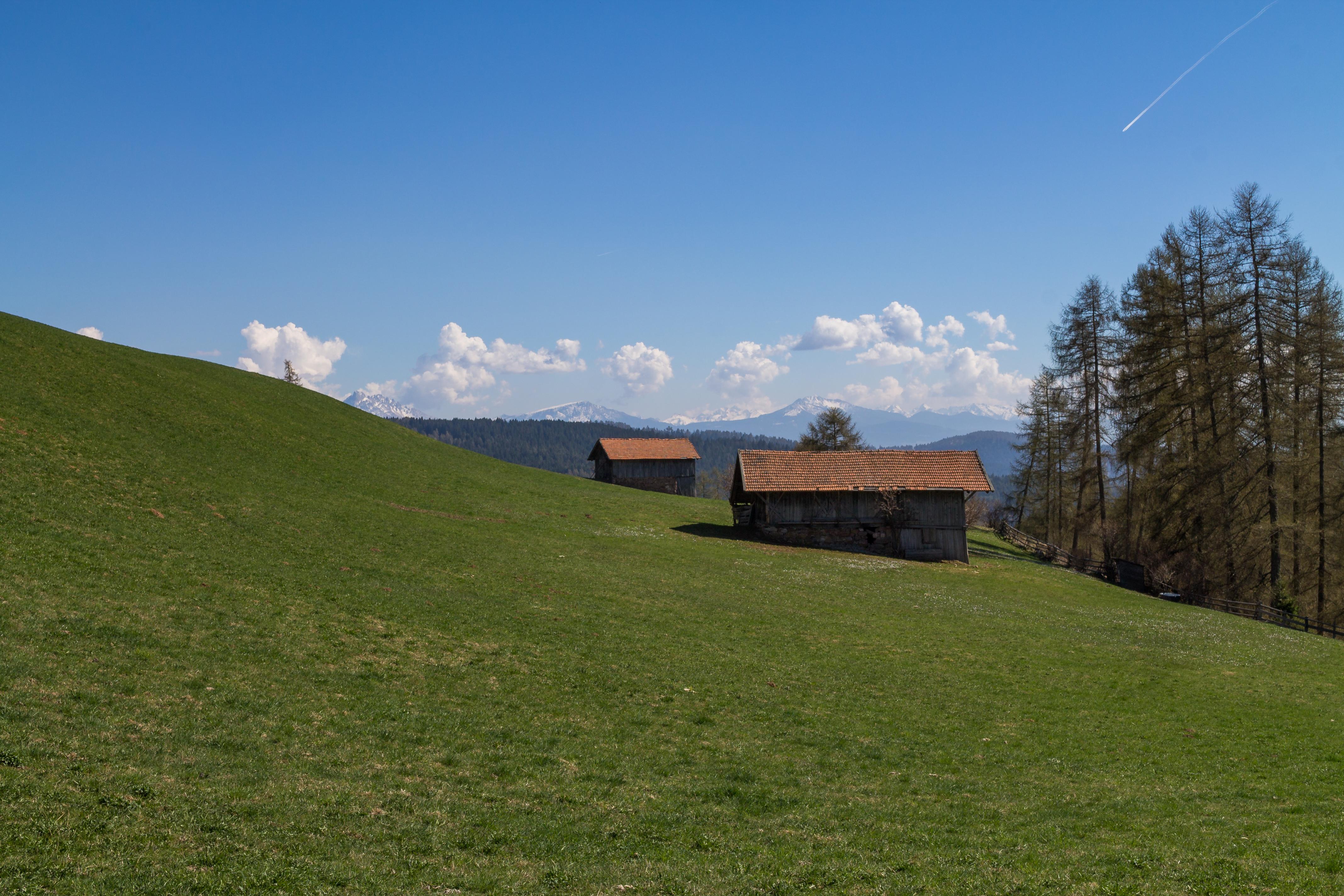 1038842247-jpg.623536