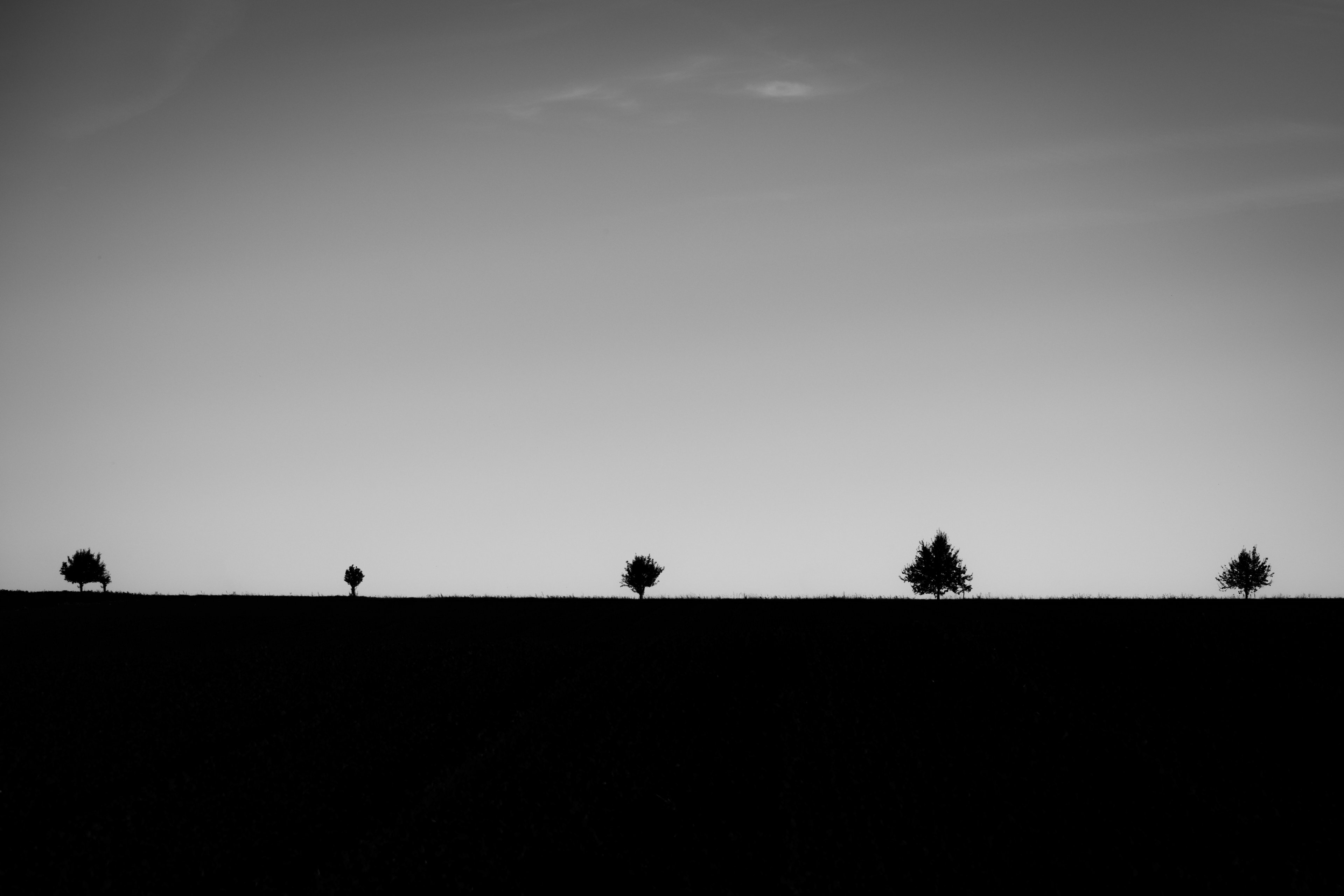 1092023 (27) Kopie.jpg