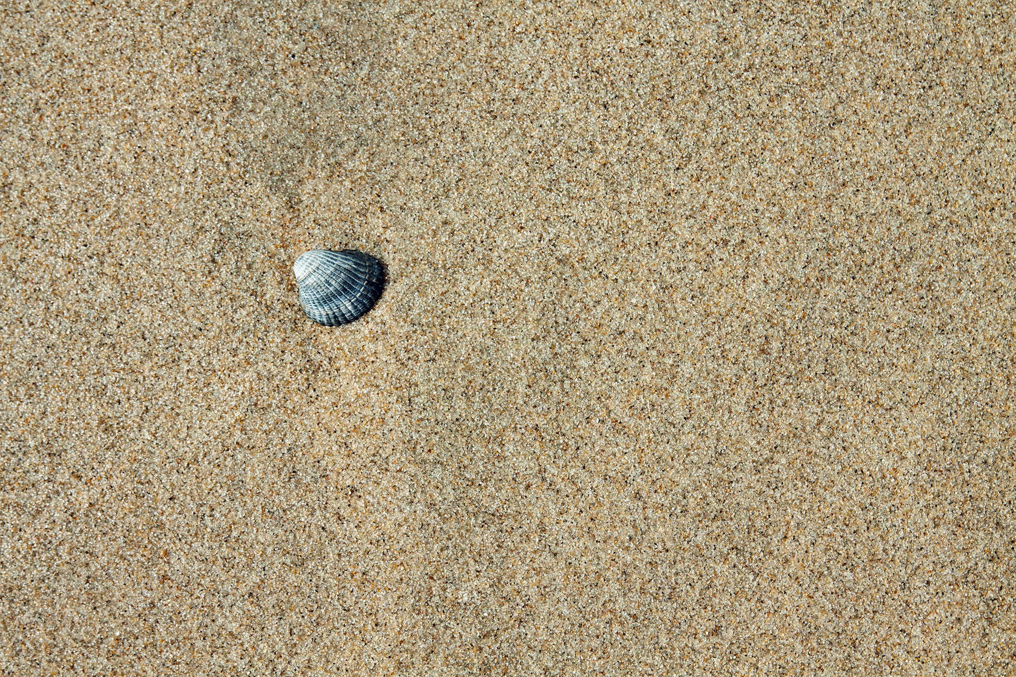 10_102018 - Kopie.jpg