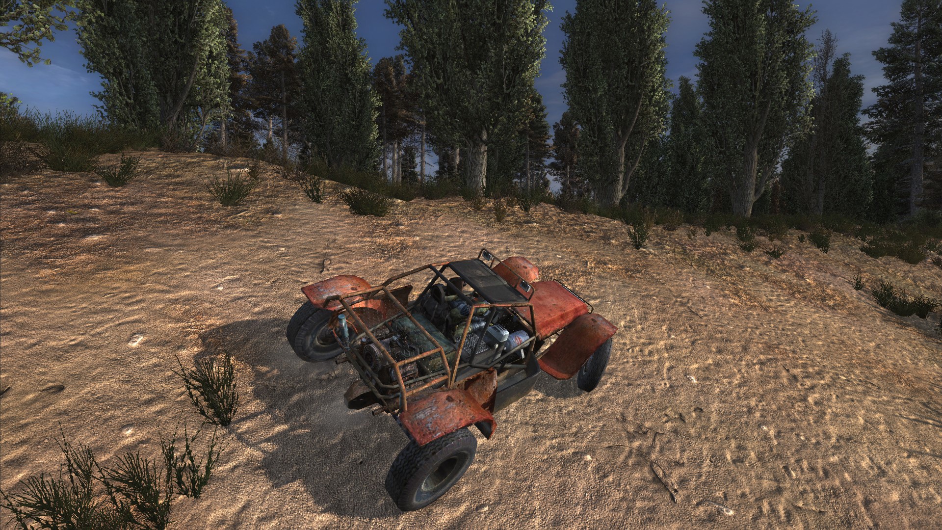 13_Buggy.jpg