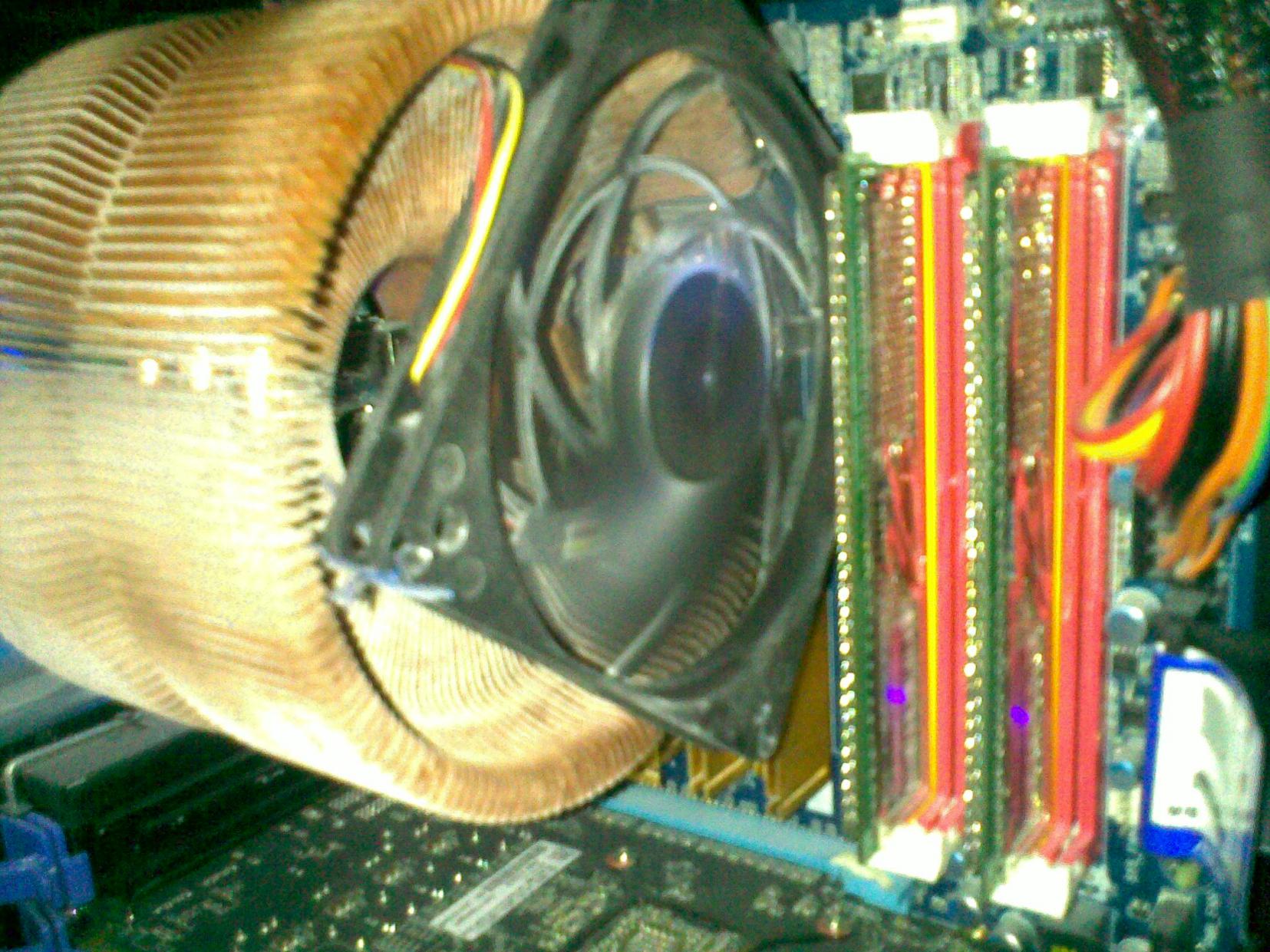 15032011558-jpg.225258