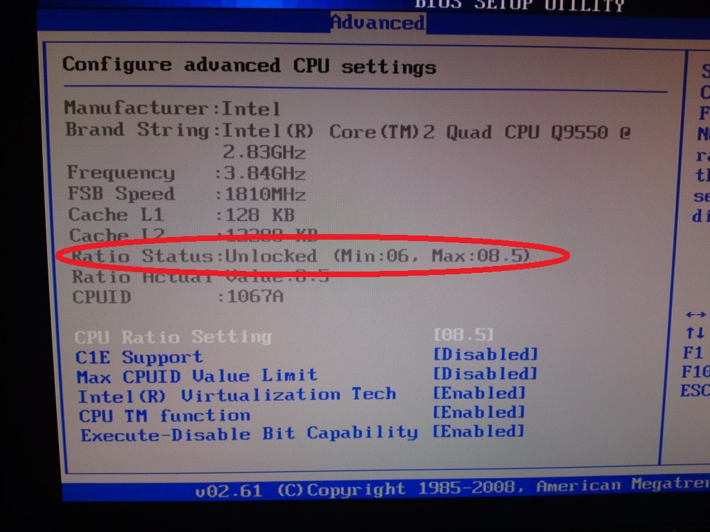 15042010085-jpg.183208