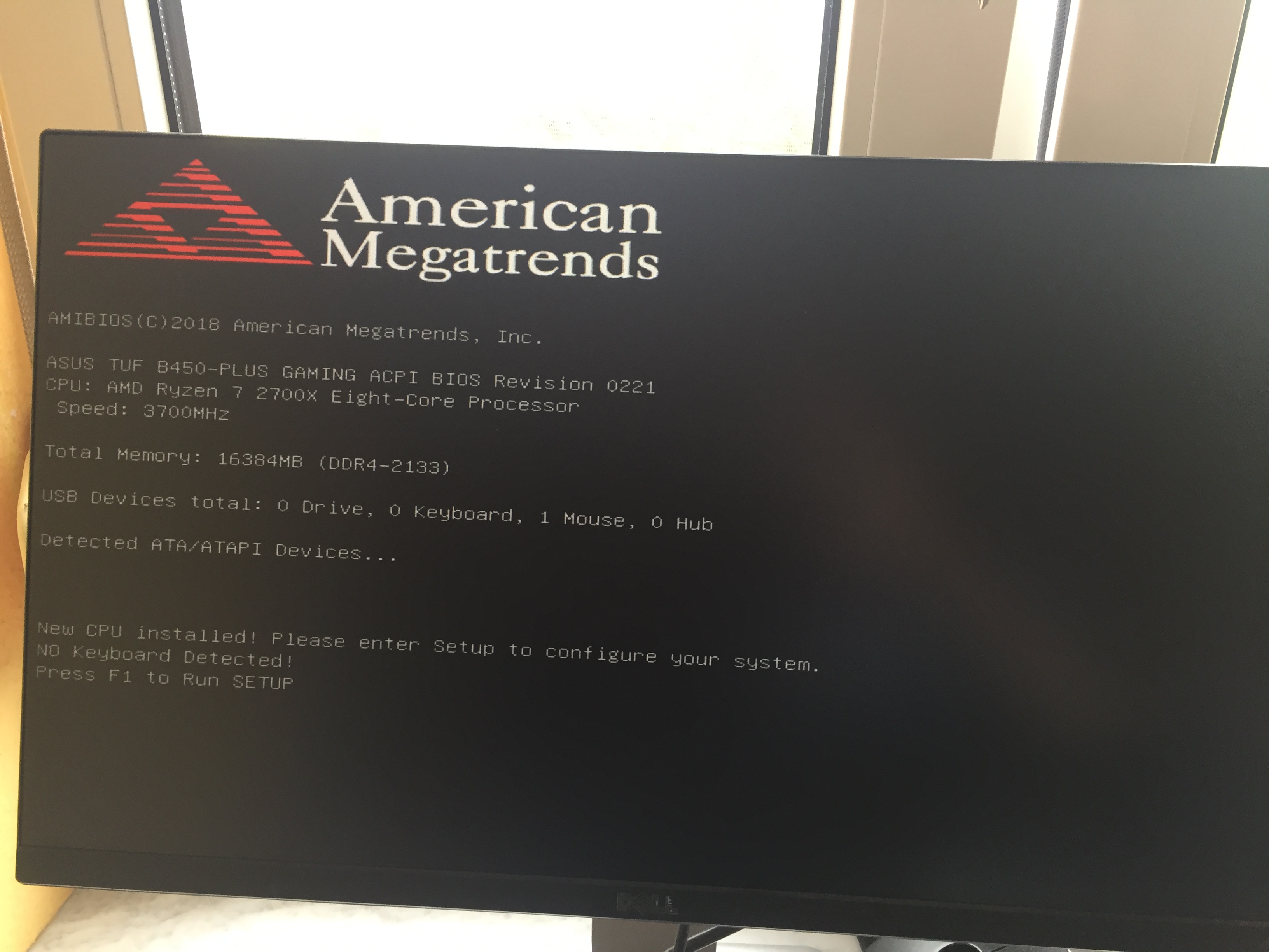 156562C4-DCEA-4D1C-89F1-AD11E27FC5CD.jpeg