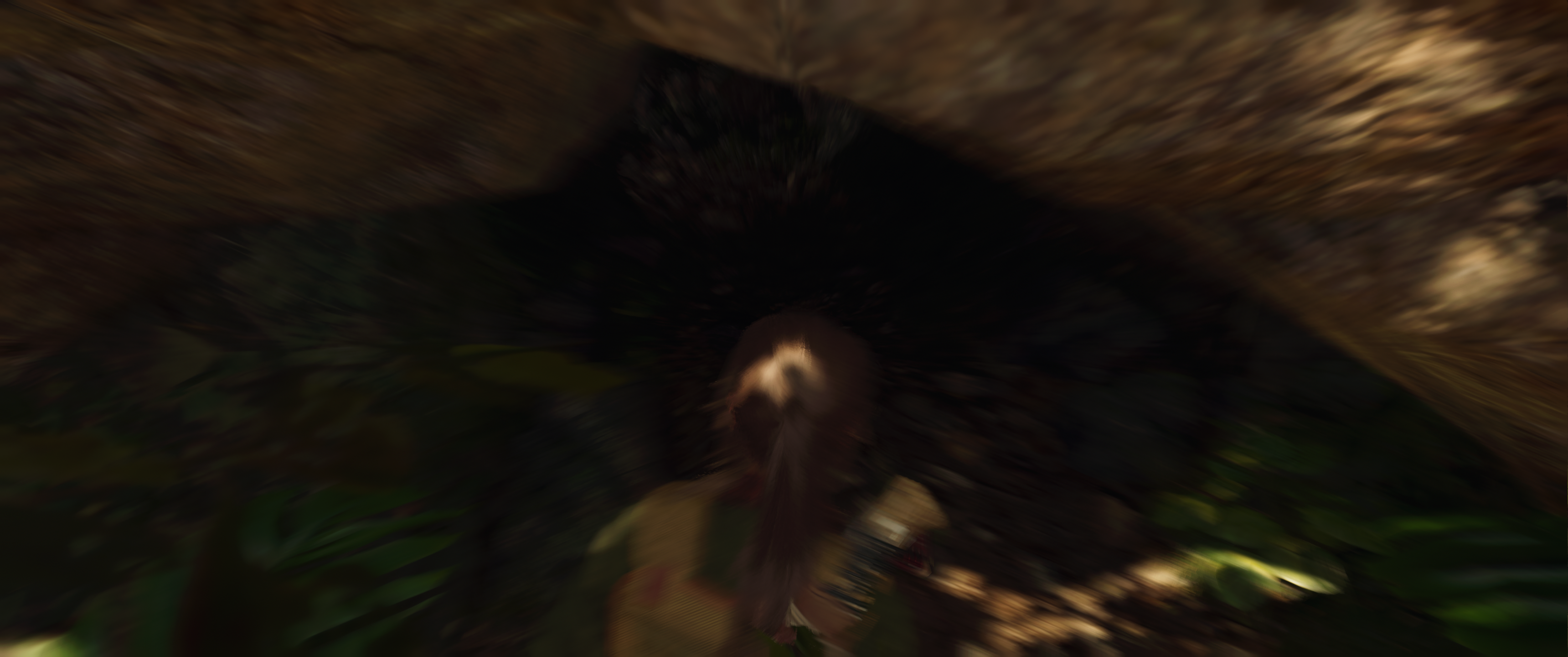 1775052883601.png