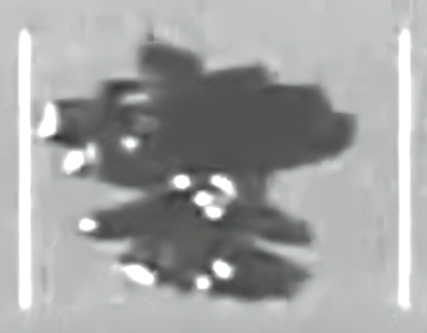 1783804308905.png