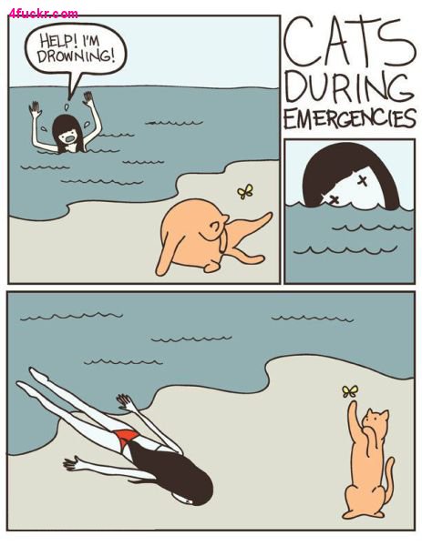 1b3828ef1c5kbk-jpg.232019