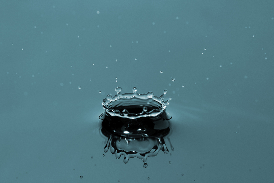 1tropfen_s_f_cb-jpg.215430