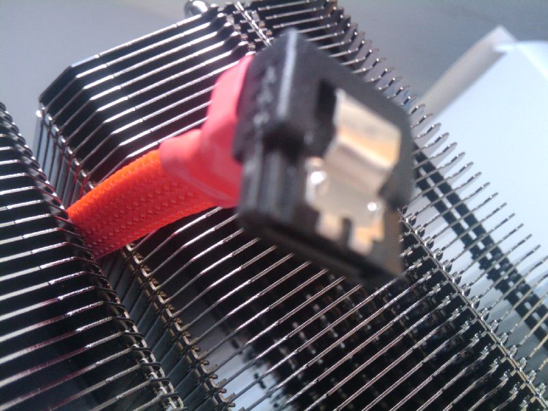 2010-02-20-12-51-16-jpg.197074