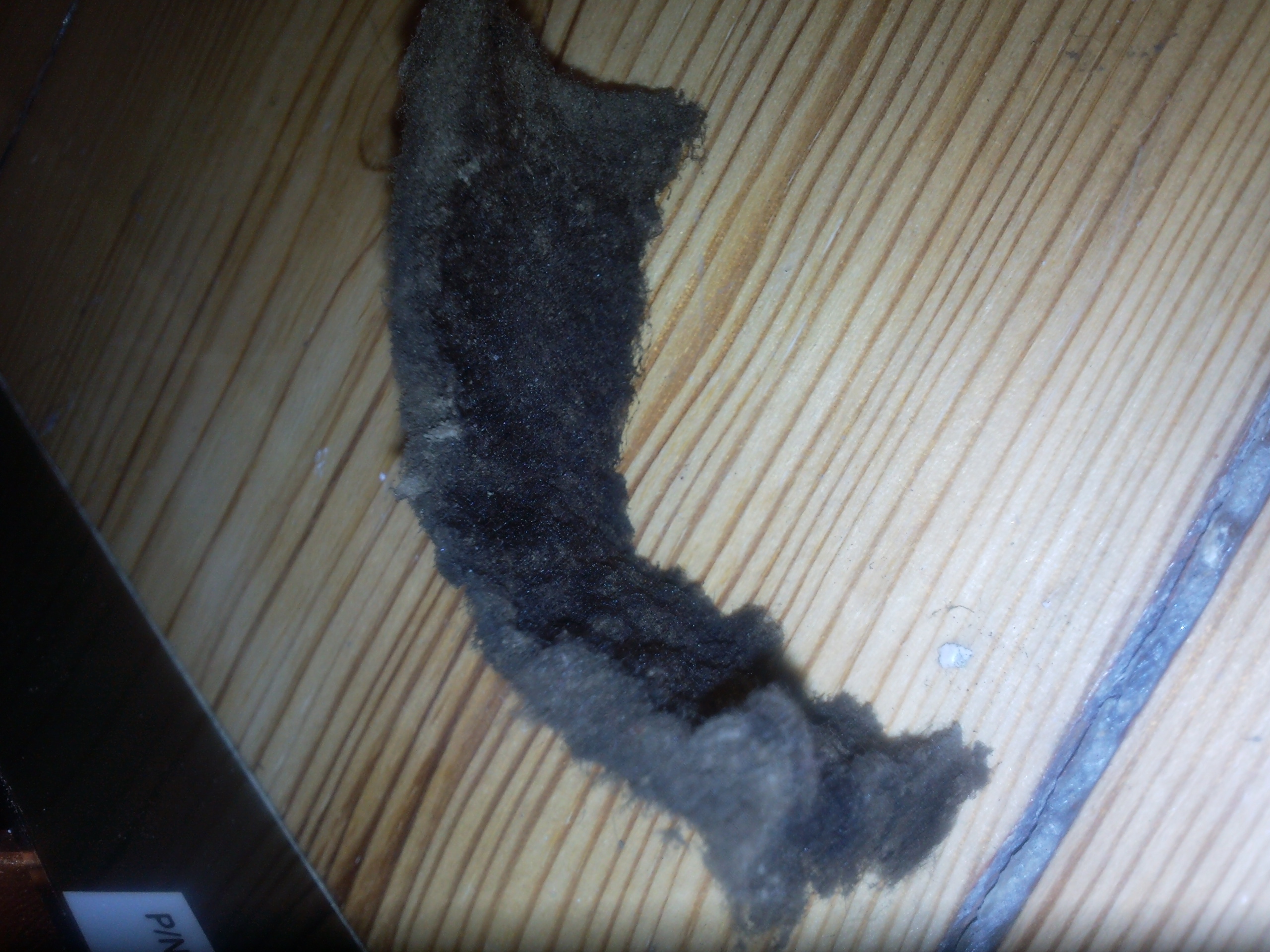 2011-02-26 14.57.49.jpg