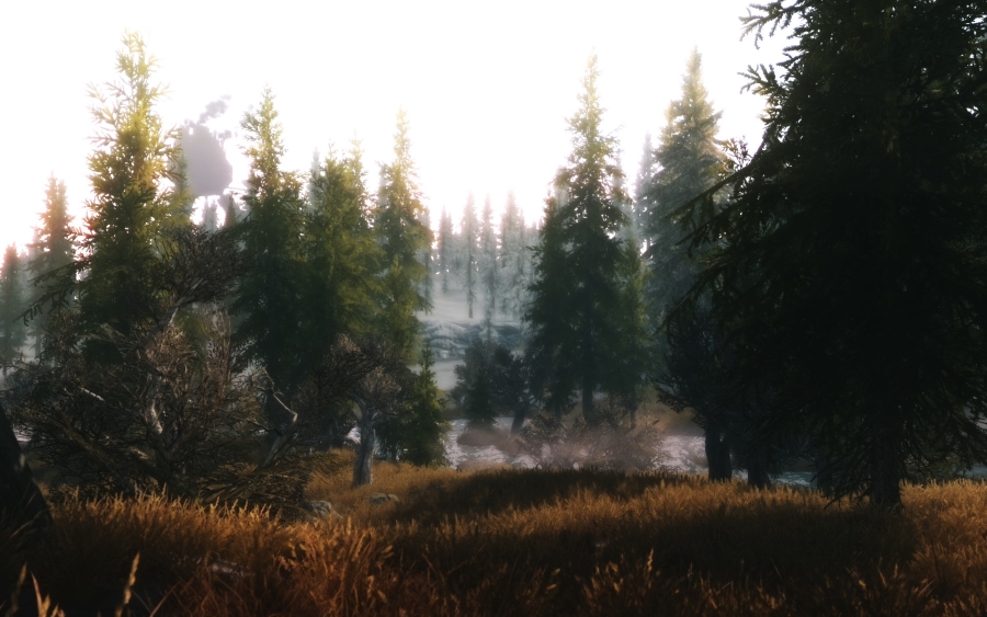 2013-02-20_00001-jpg.431943