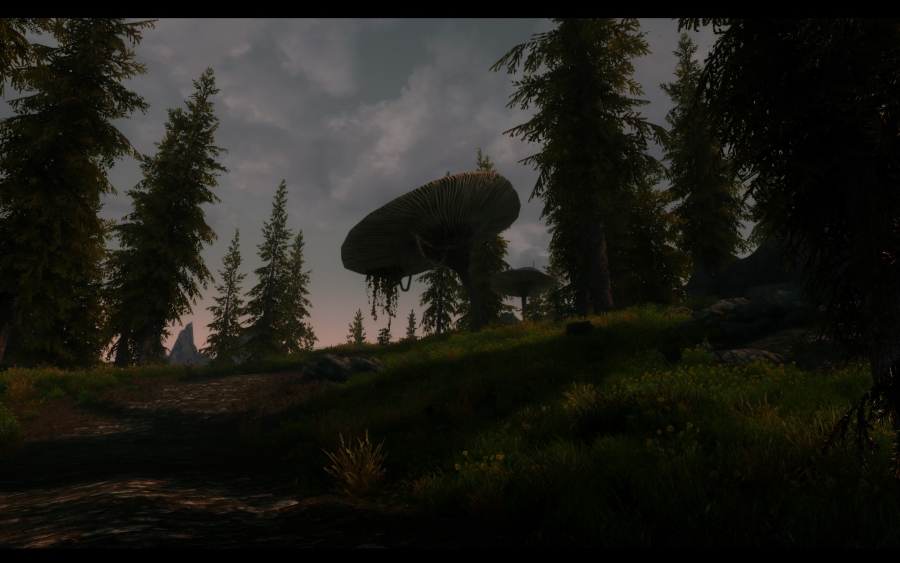 2013-09-02_00005-jpg.431945