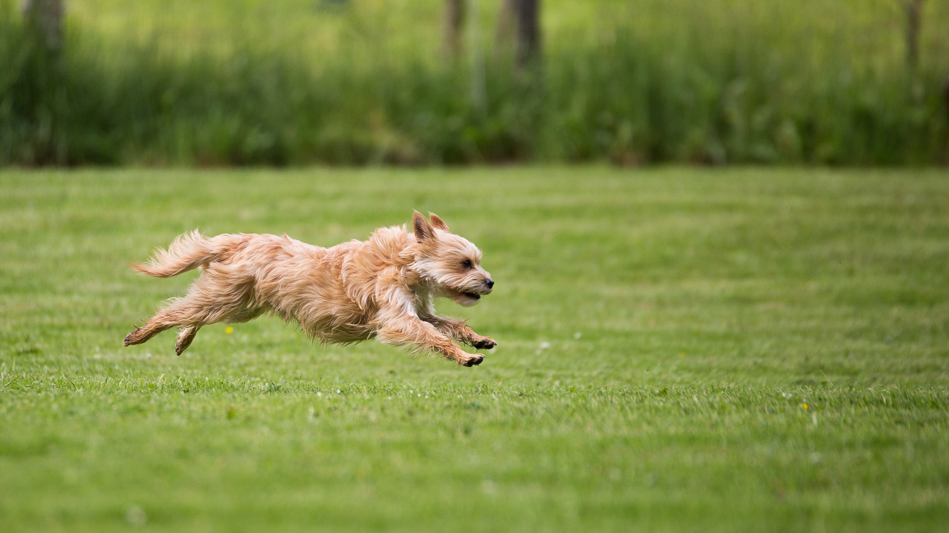 20140601_jl6a6116-jpg.419845