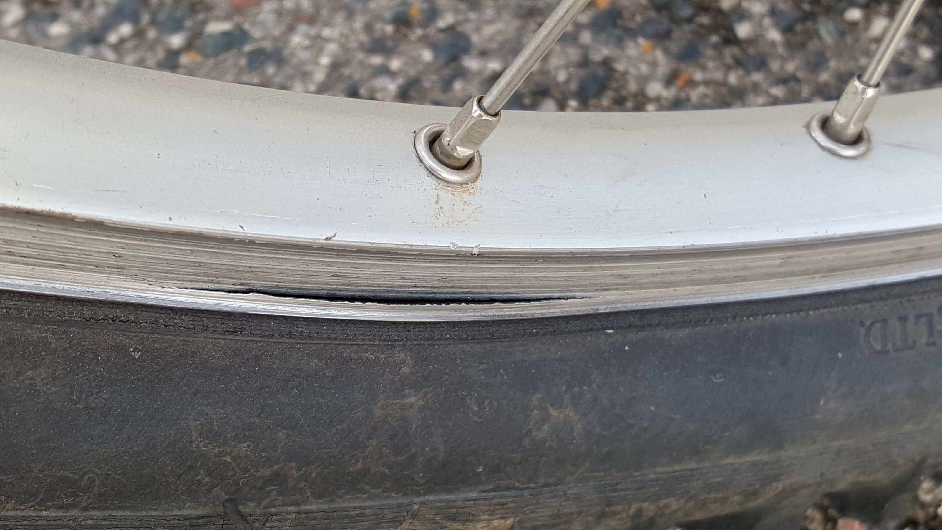 20161120_114907small-jpg.593268