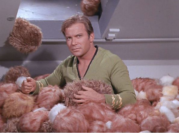 2018-10-29 16_45_52-Files and Tribble-ations_ What Star Trek Can Teach Your Enterprise About F...jpg