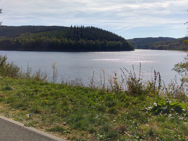 20180916_113912_HDR [640x480].jpg