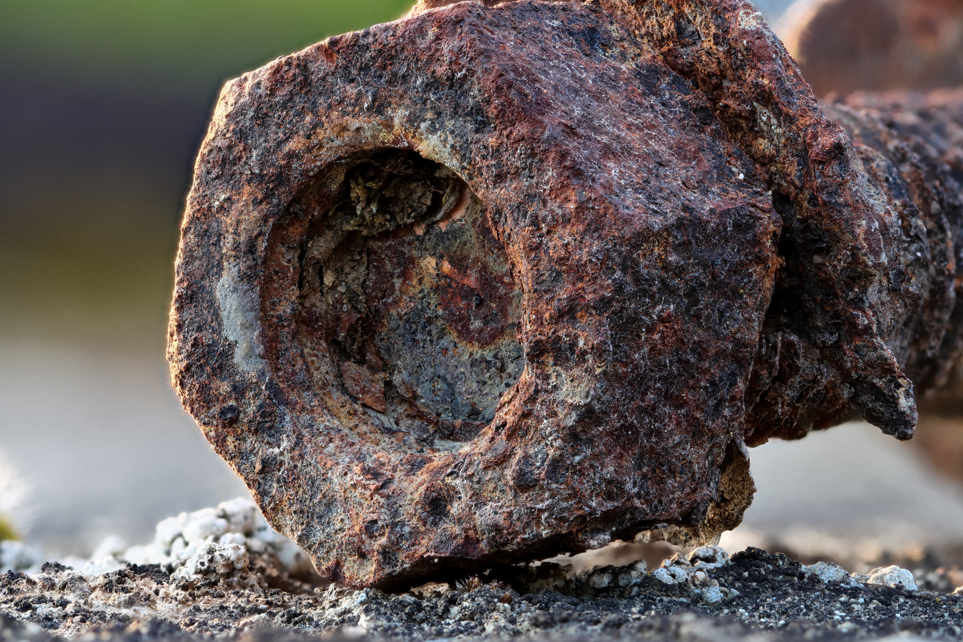 2020-04-07-22.58.40 ZS PMax.jpg