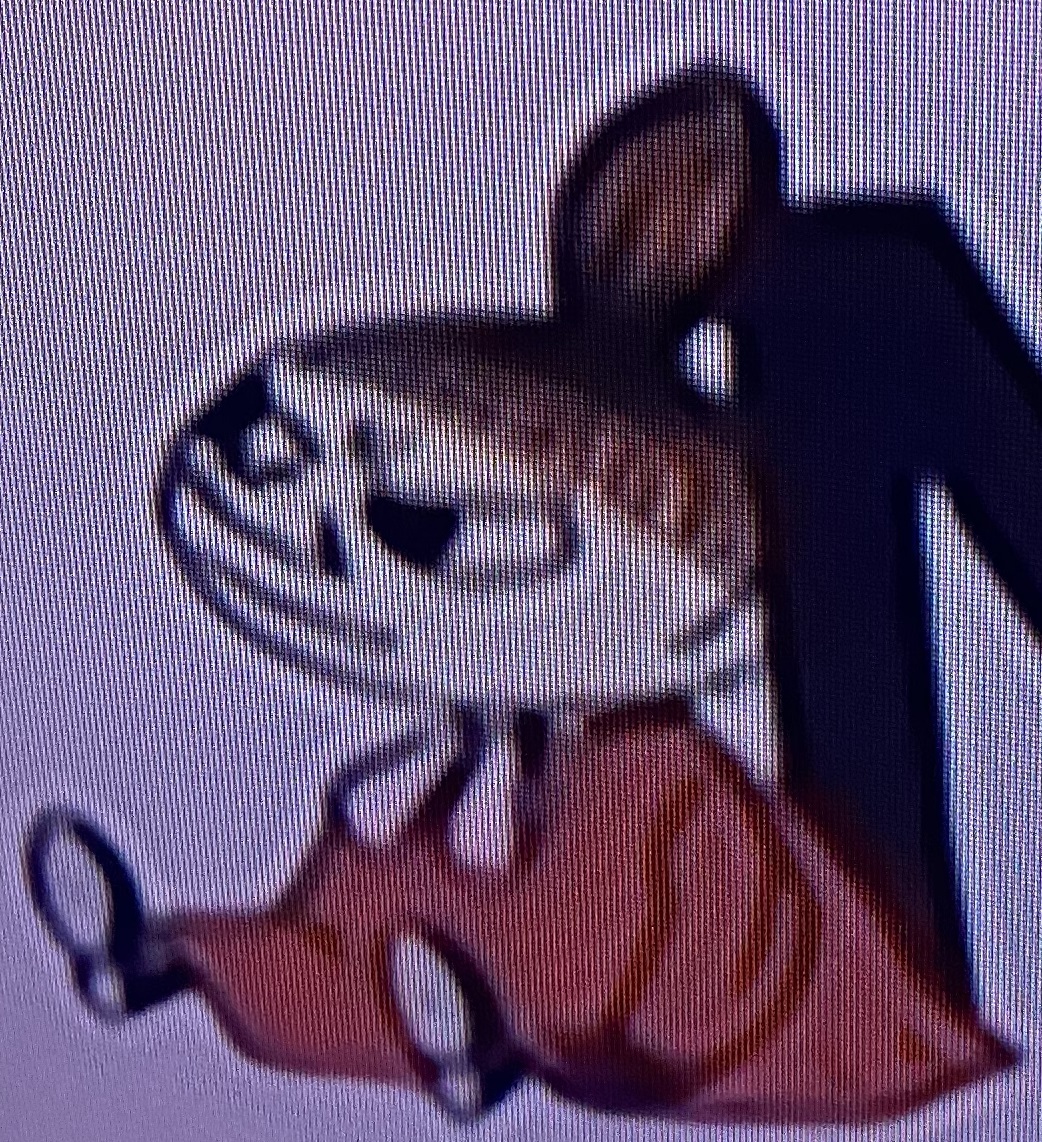 2020-11-24 18.44.55.jpg