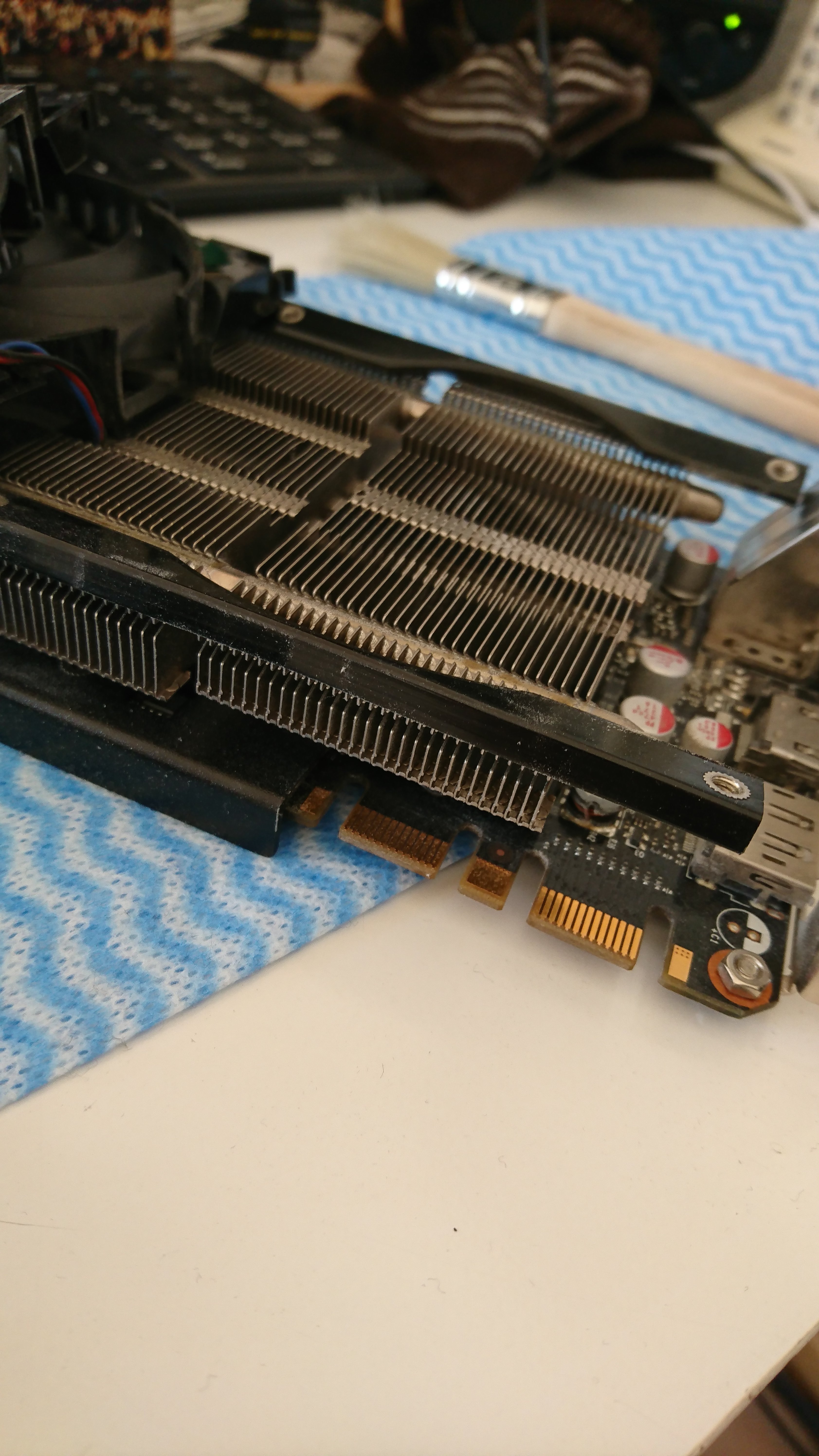 2021-02-28 08.46.15.jpg