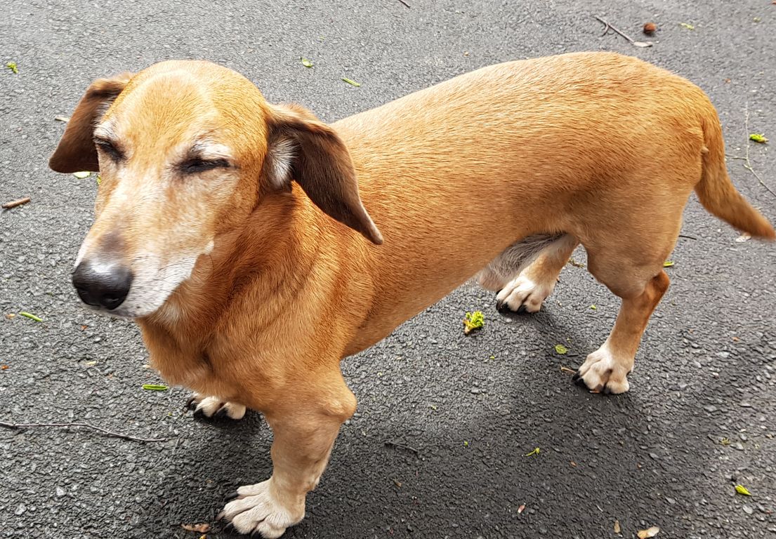 20210506_135018_cr [1280x768].jpg