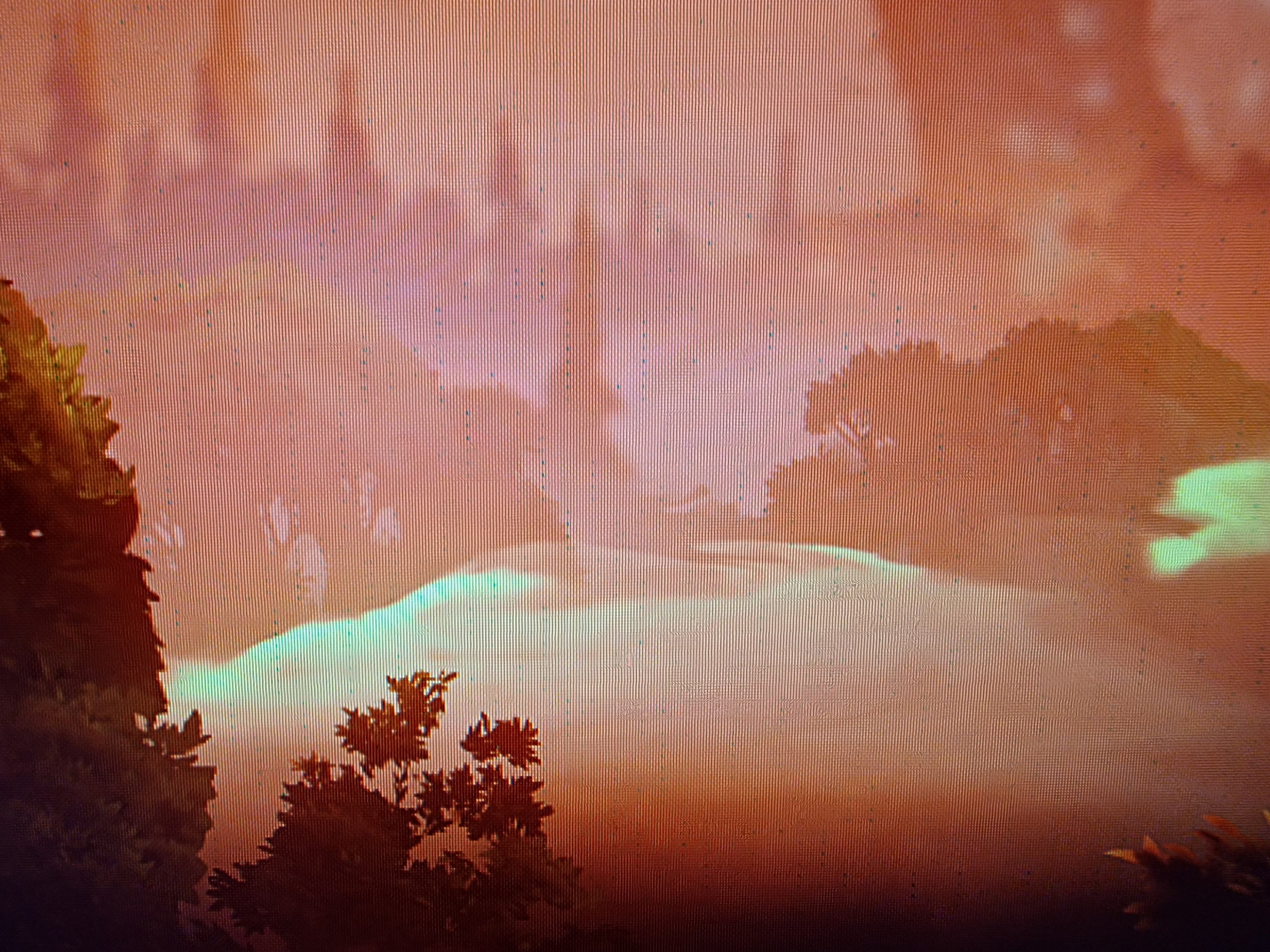 2022-10-15 12.16.25.jpg