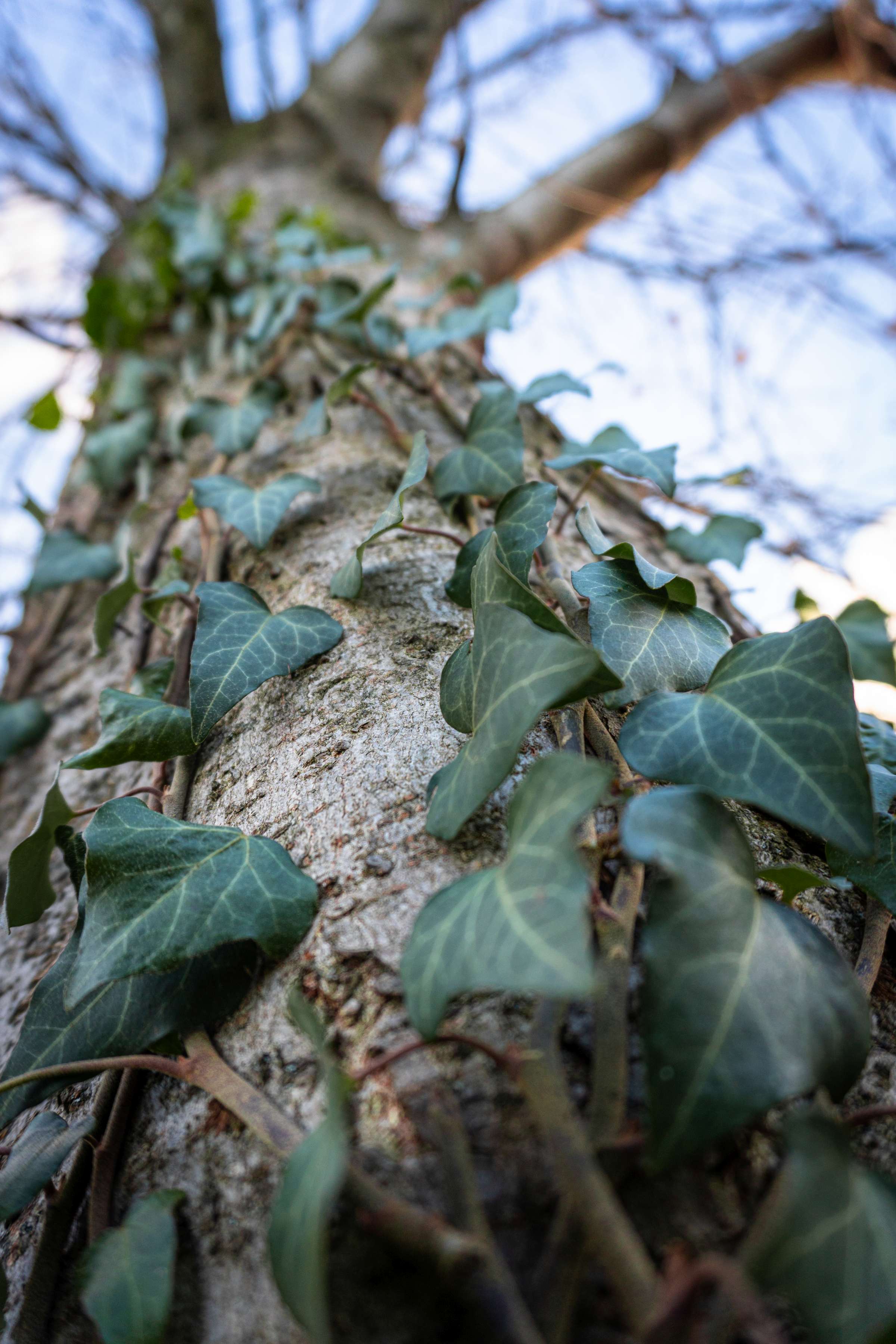 20240101-DSC00652_iso250_f4.5_1 60.jpg