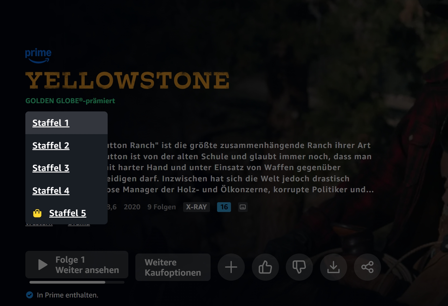 2025-03-15 20 21 26.jpg