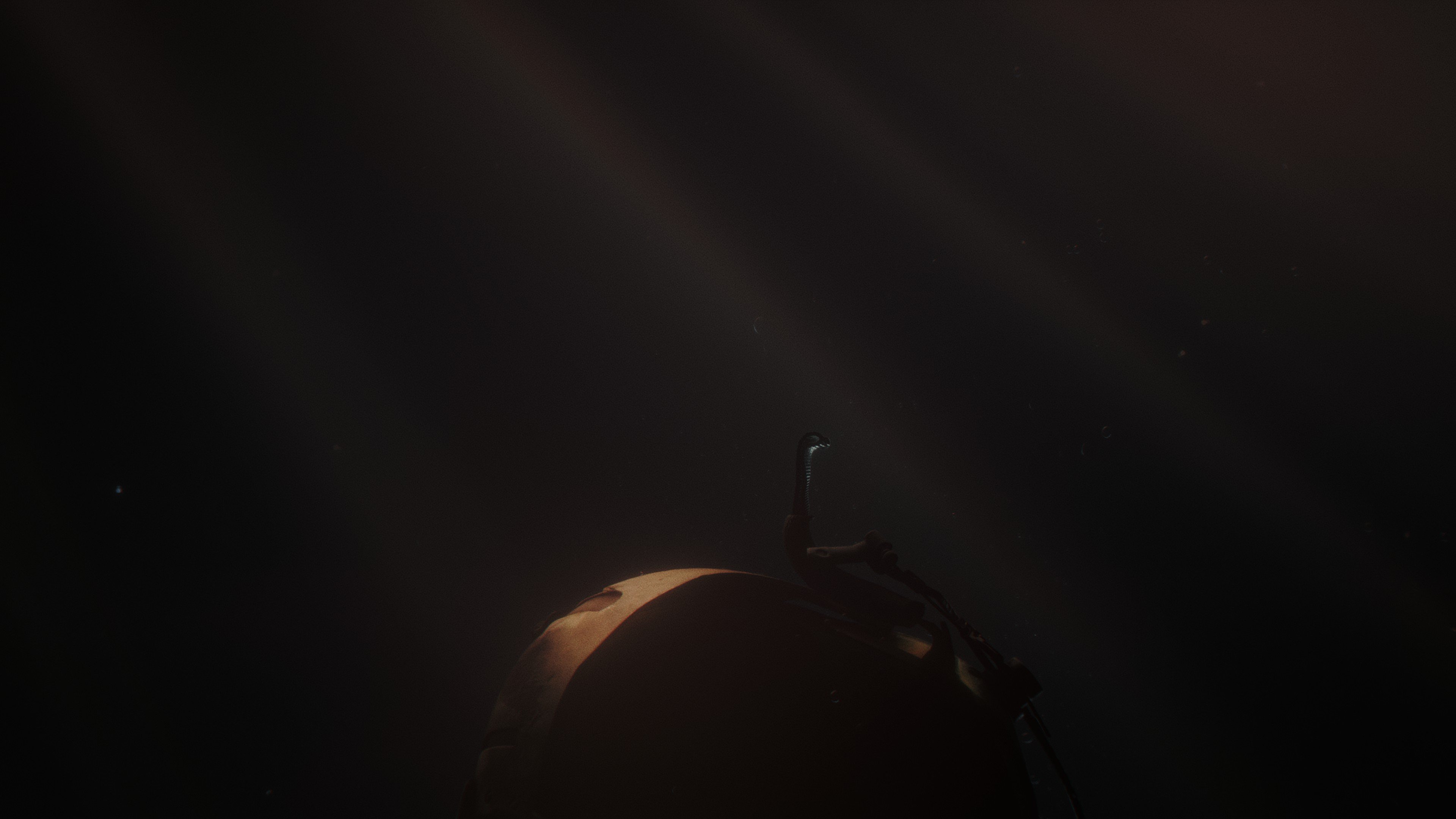 20260526191314_1.jpg
