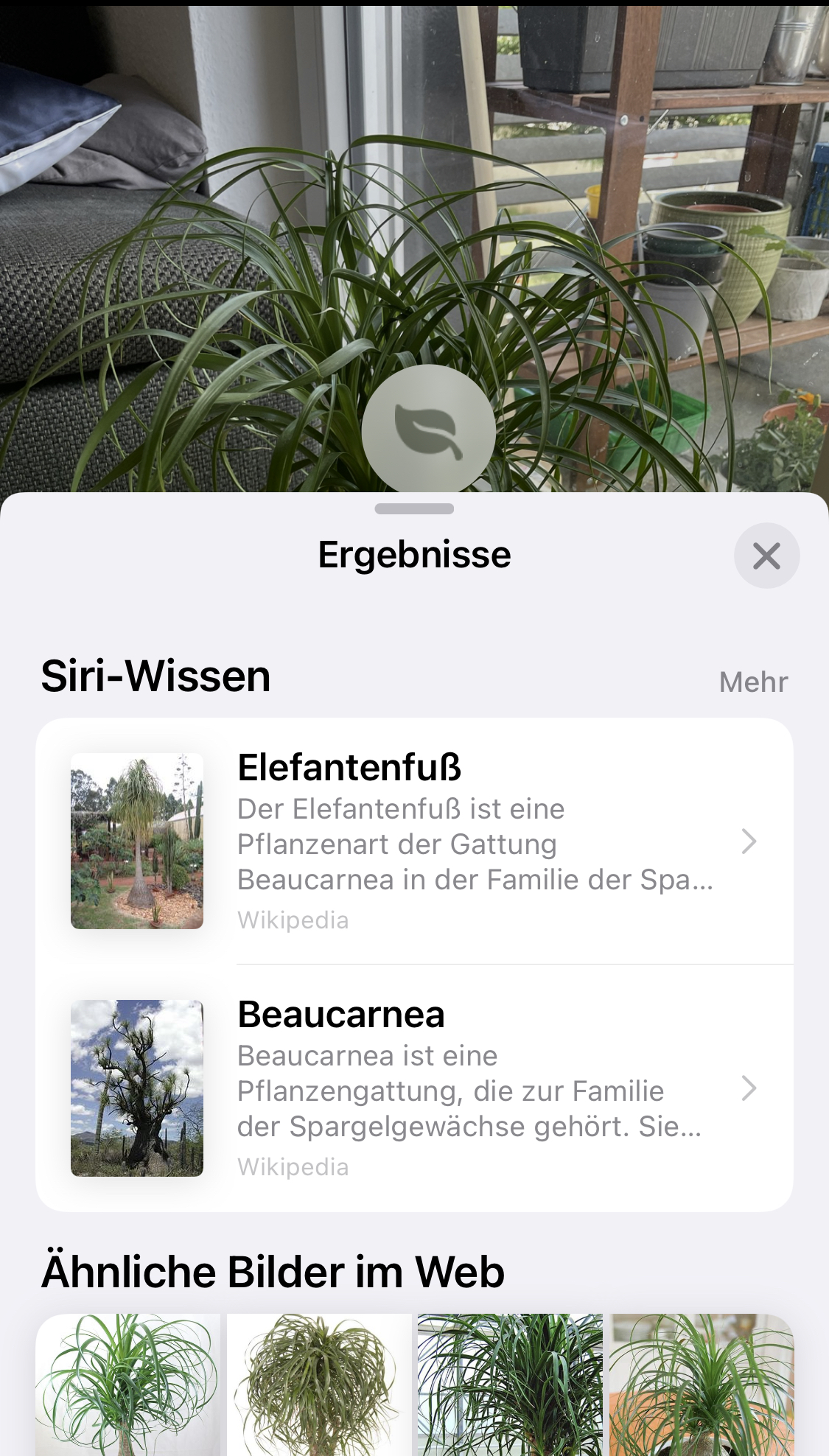 22-06-11 11-59-24 1090 öffnen.png