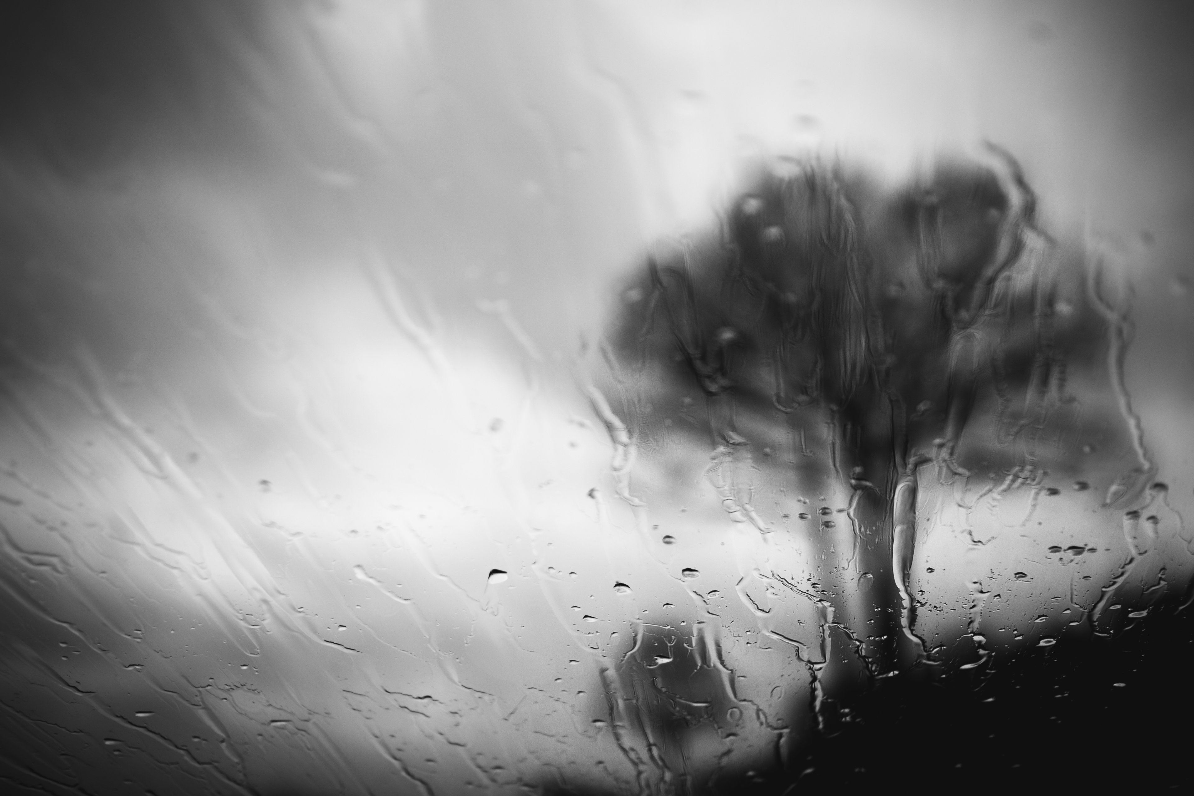 23.04 (54) Kopie.jpg