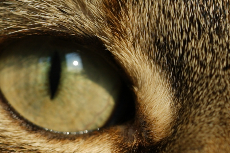 23ac9948c-jpg.139107