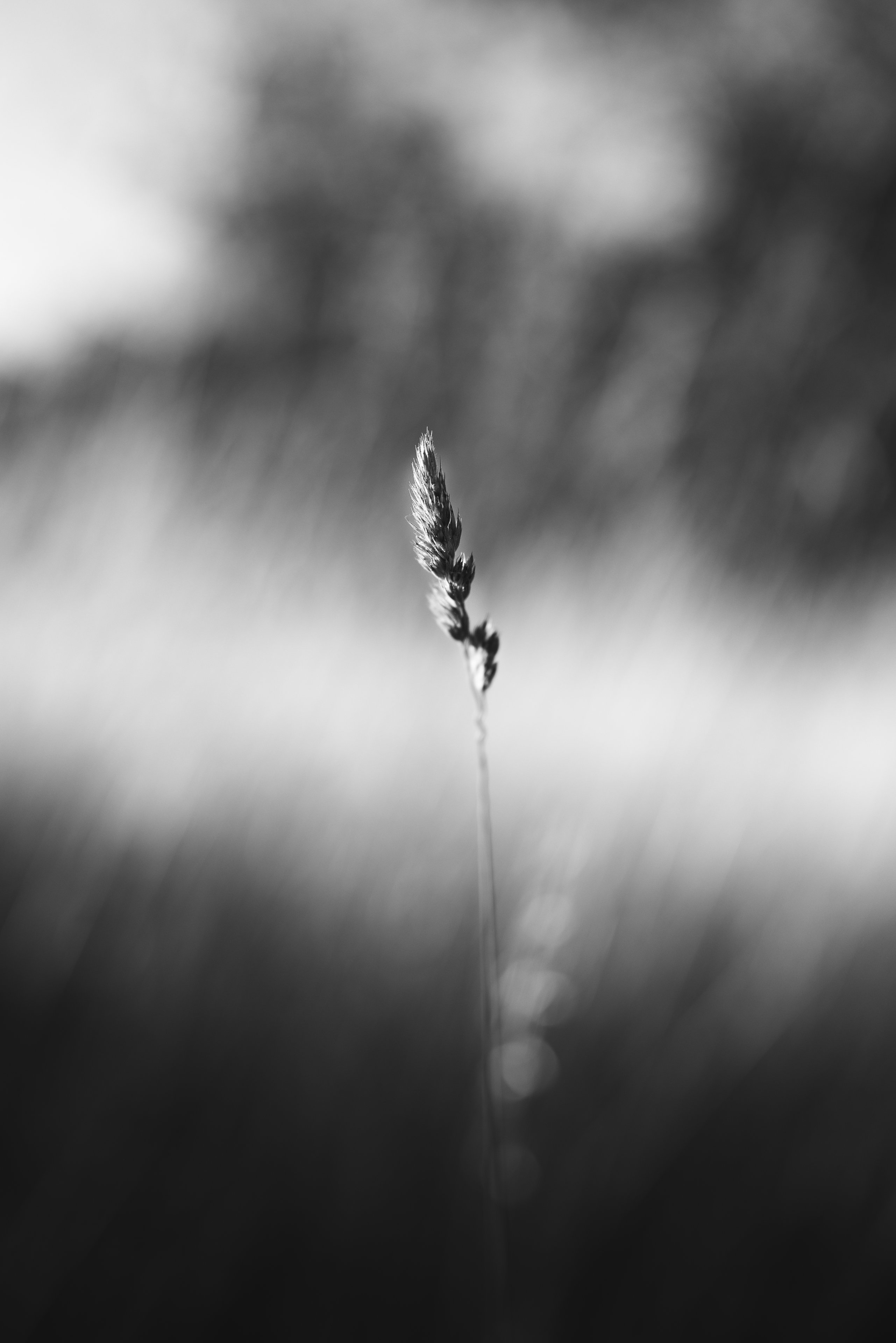 25.06 (100) Kopie.jpg