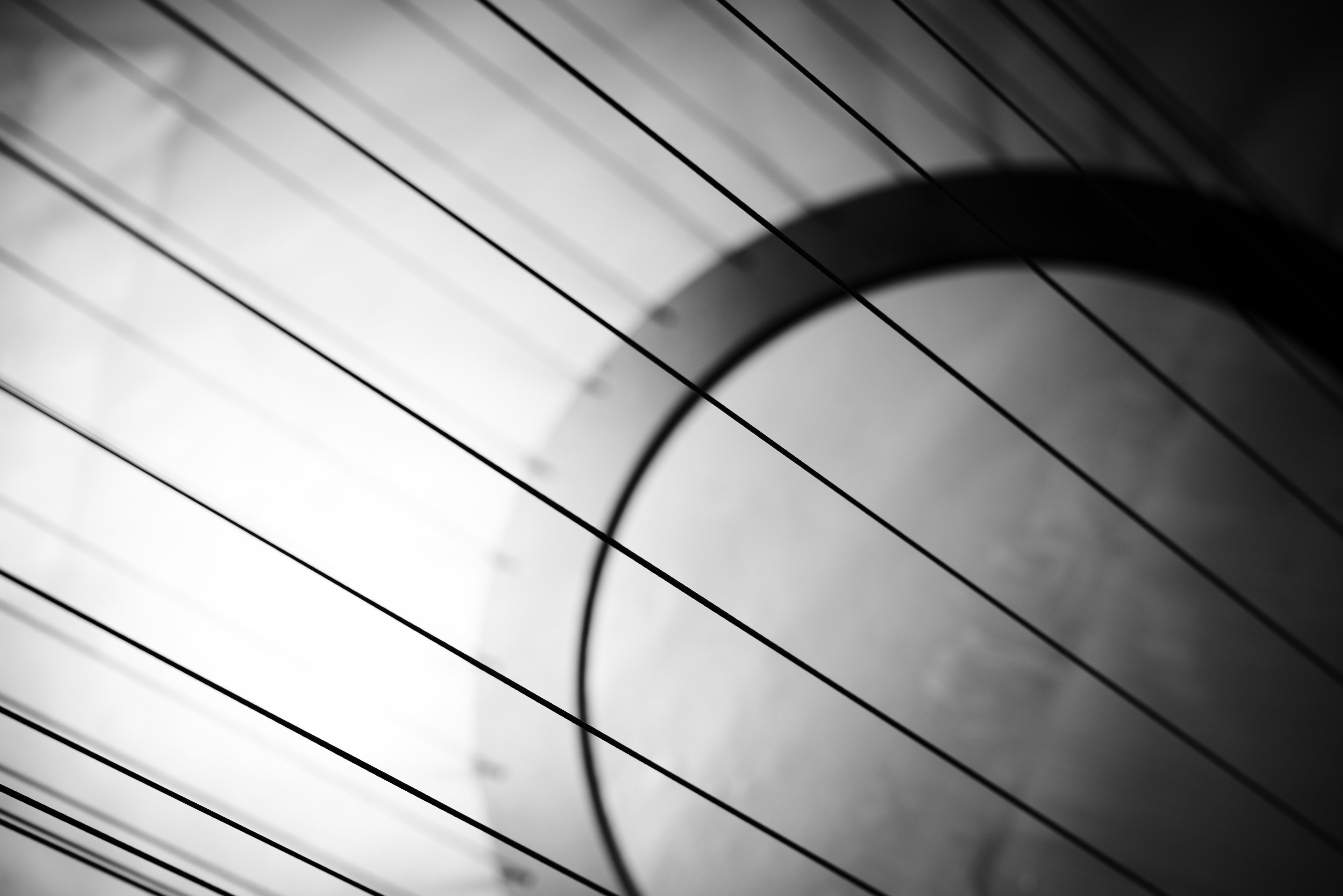 29.04 (145) Kopie.jpg