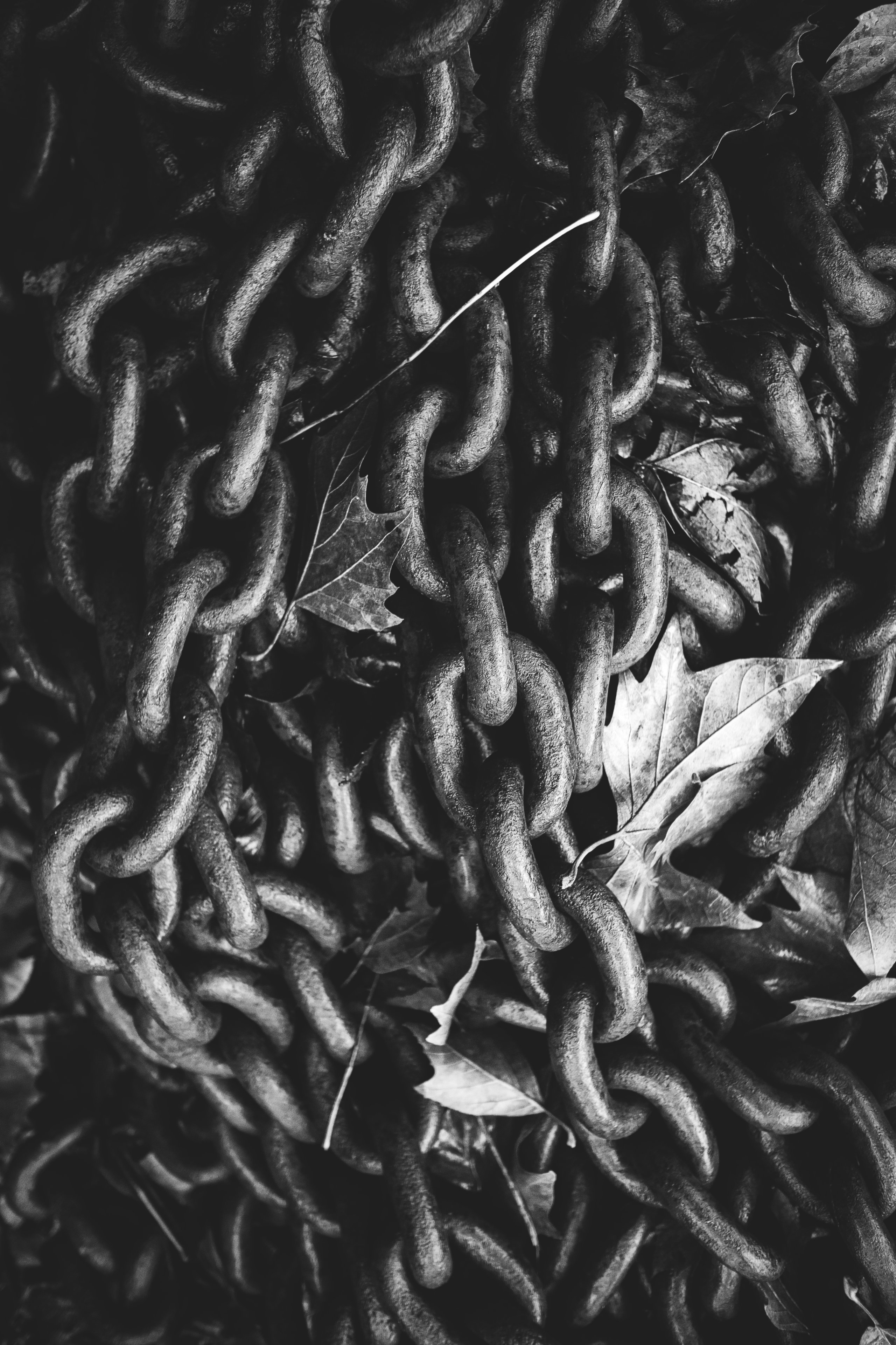 29102023 (7) Kopie.jpg