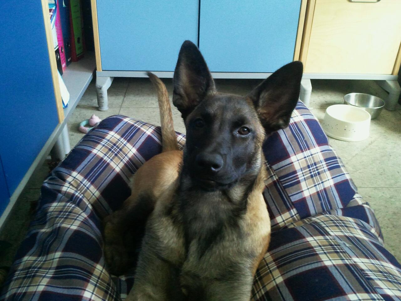 322166_257488744284919_100000713866584_880267_804550349_o-jpg.266141