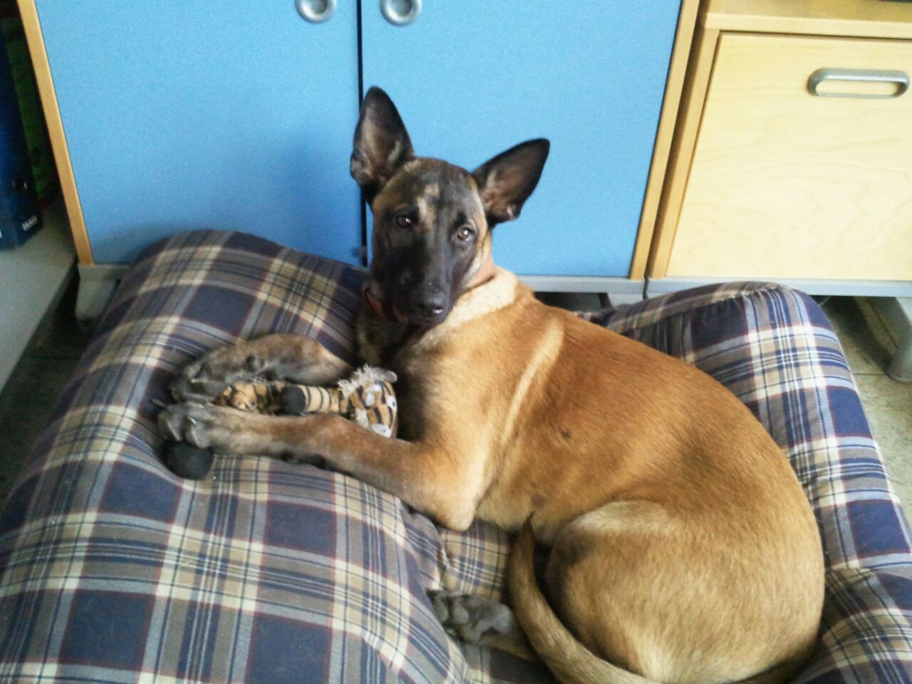 340767_282845235082603_100000713866584_974148_11546143_o-jpg.266142