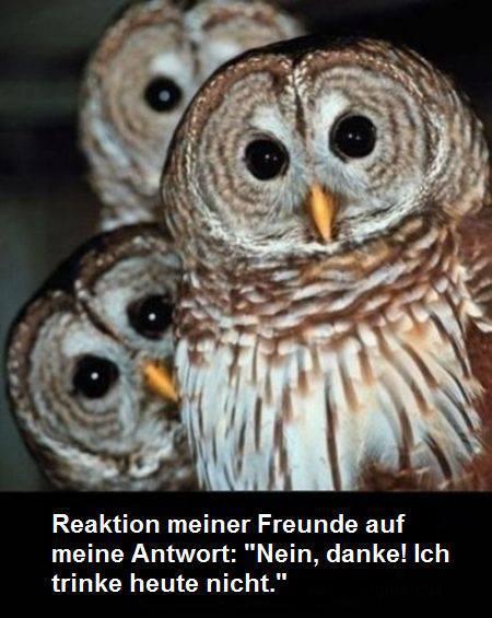 398696_300388030024280_187801041282980_923738_219575454_n-jpg.275616