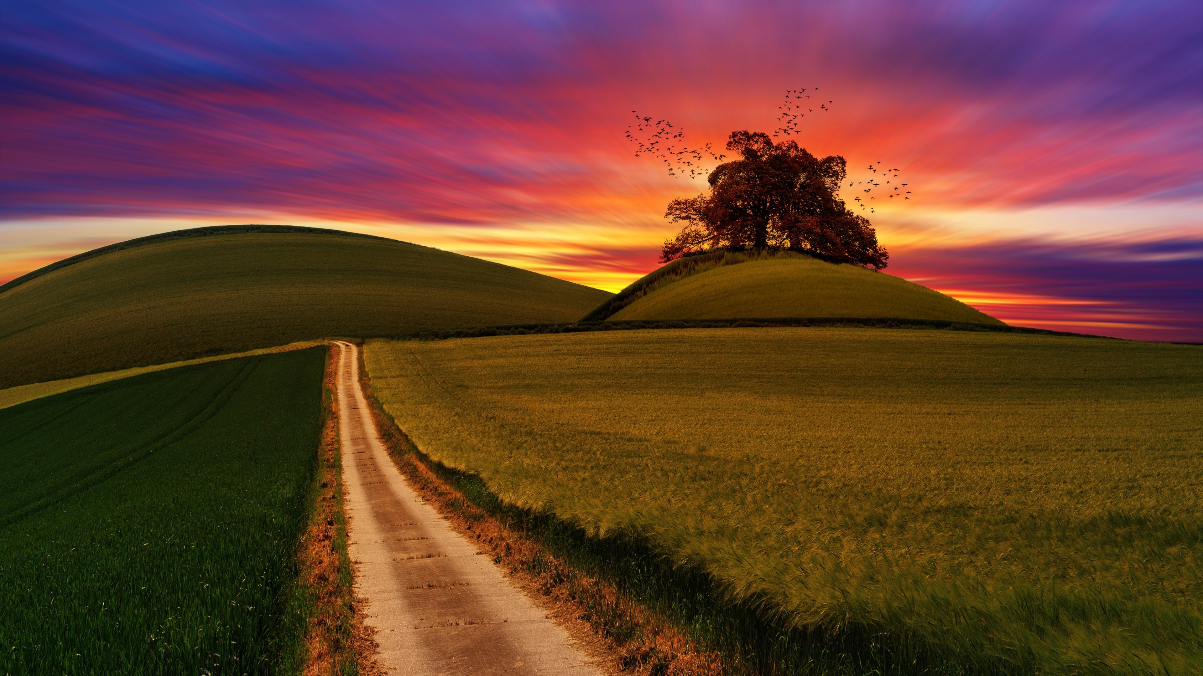 4k-Wallpapers-Nature-HD-Wallpapers-Dowenload-Free.jpg