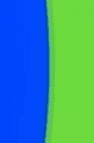 55.png