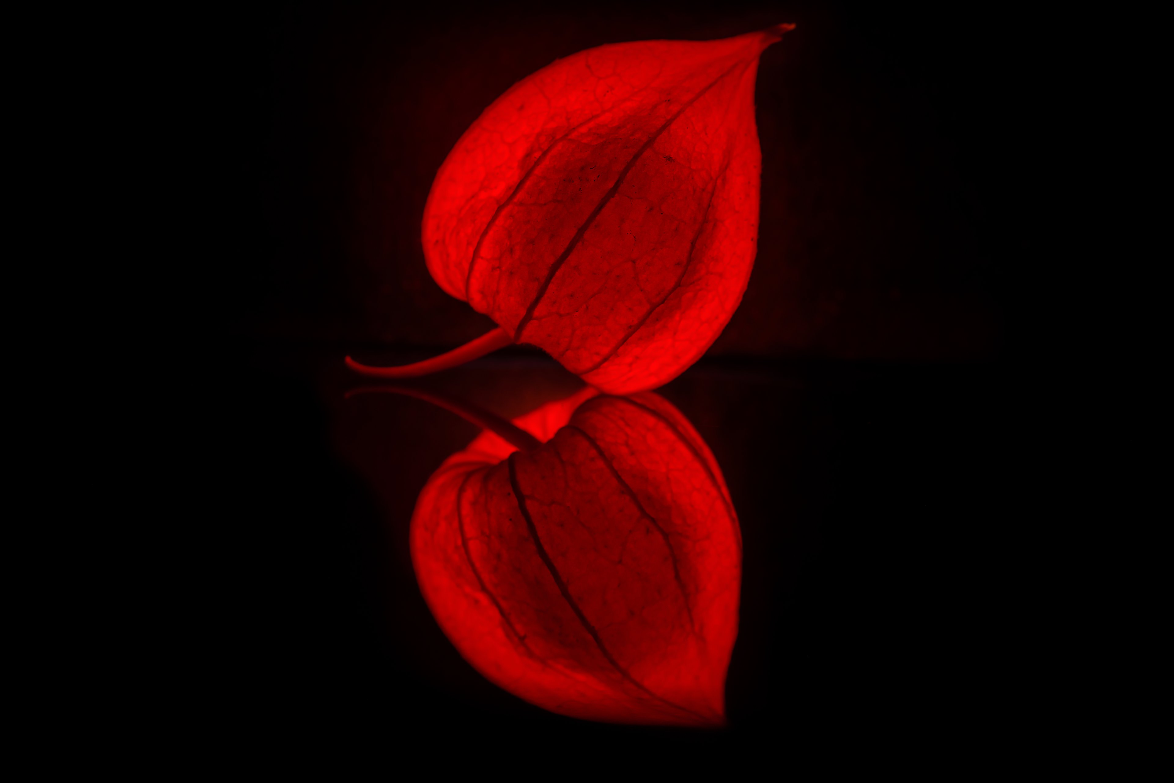 _99A3635-HDR Kopie.jpg