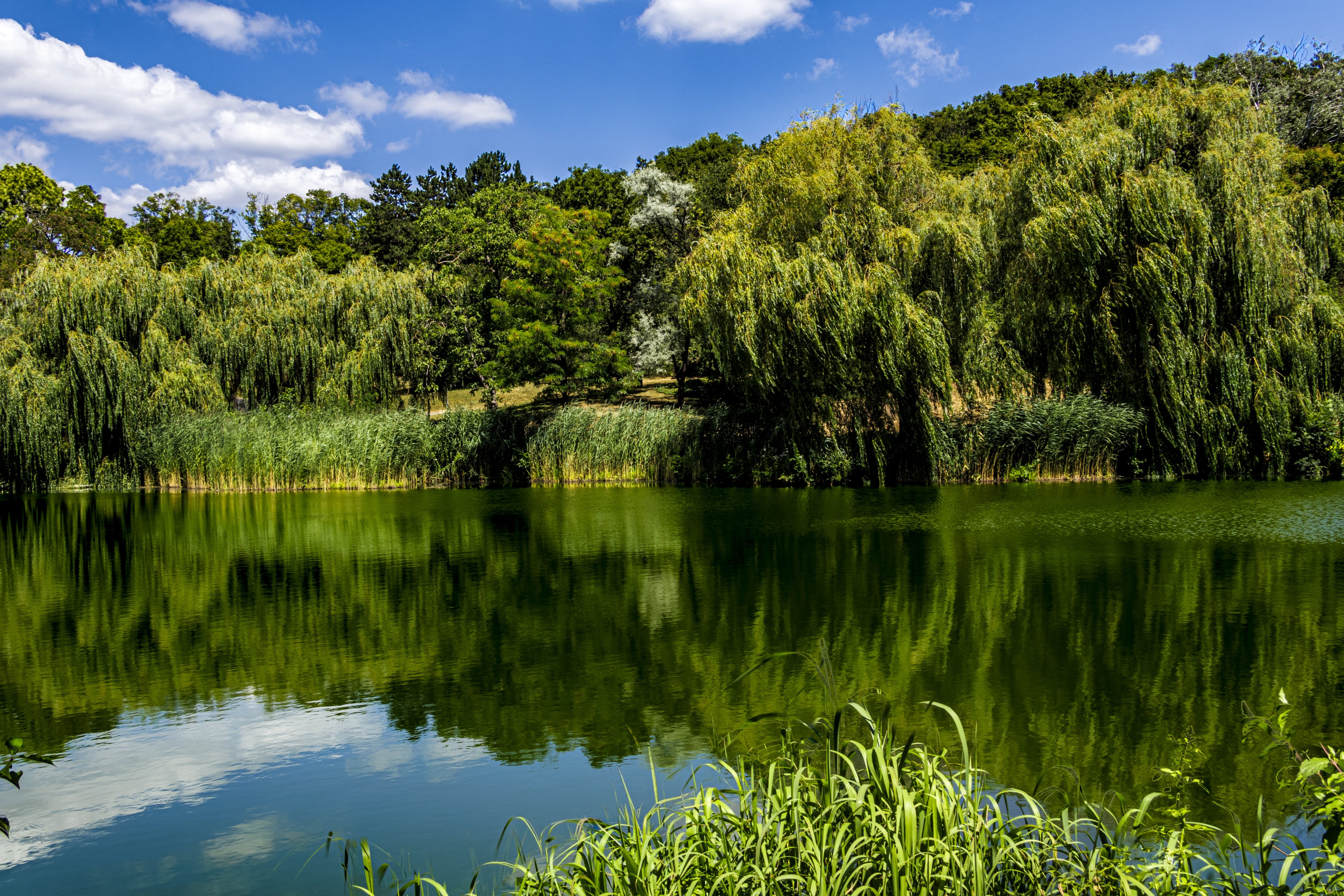 _MG_7444-HDR.jpg