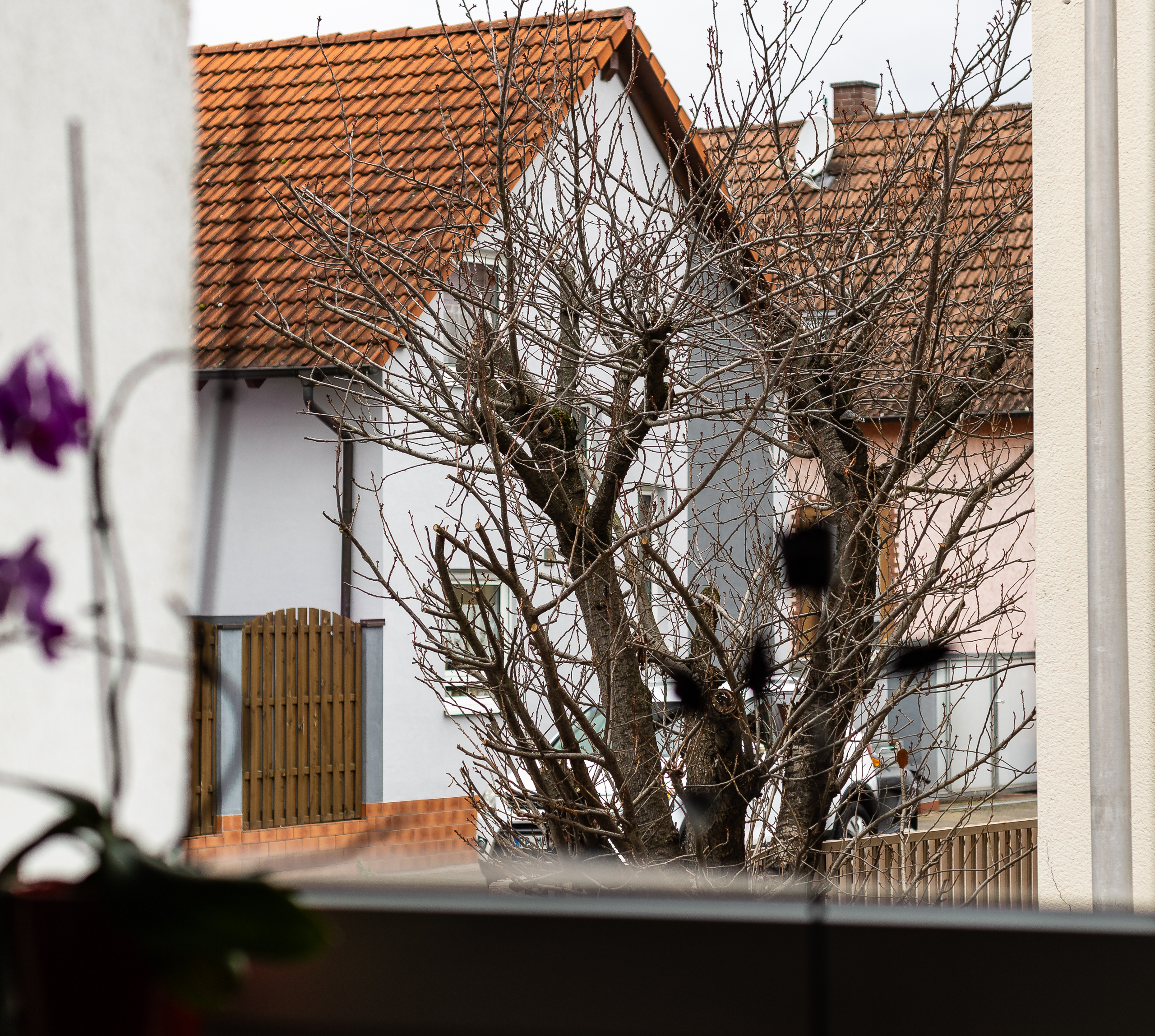 altglas (1 von 11).jpg