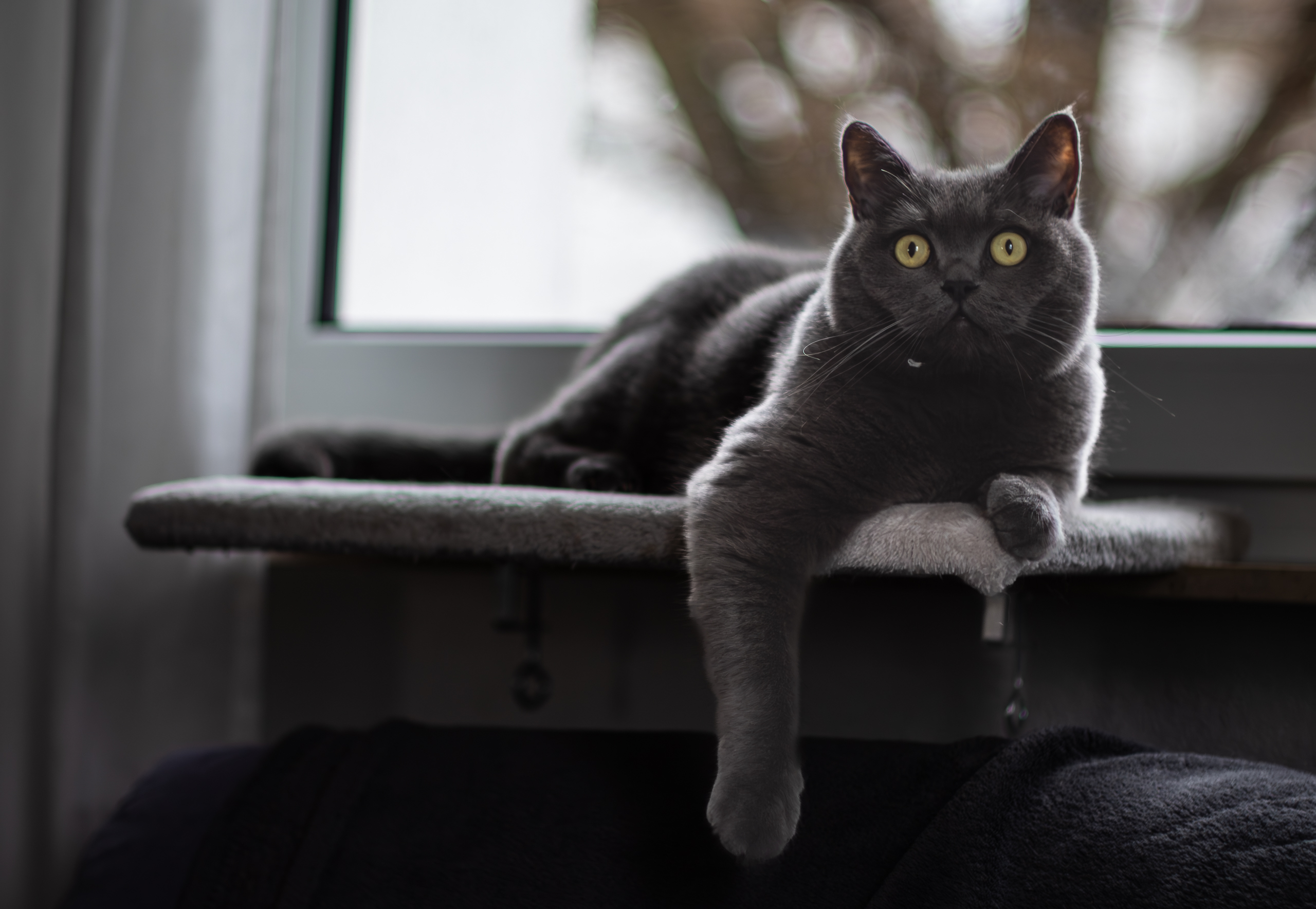 altglas (11 von 11).jpg